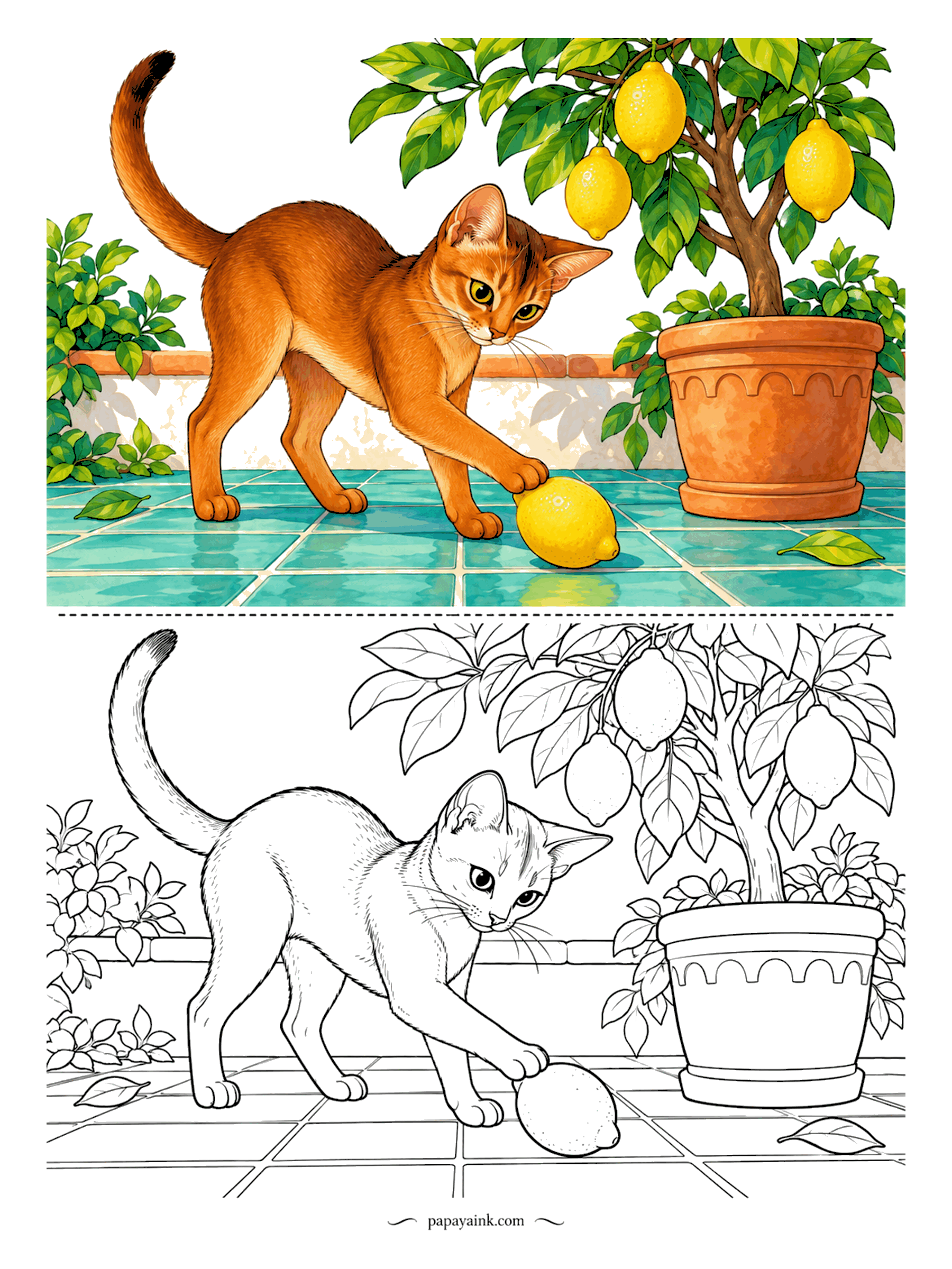 Cat Coloring Pages - Kitchen tiles, a potted lemon tree, and an Abyssinian mid-swipe at the lemon that just fell off it. Ticked ruddy coat, long legs, and a tail held up like a question mark. Yellow fruit, green leaves, teal floor - a bright, simple page.