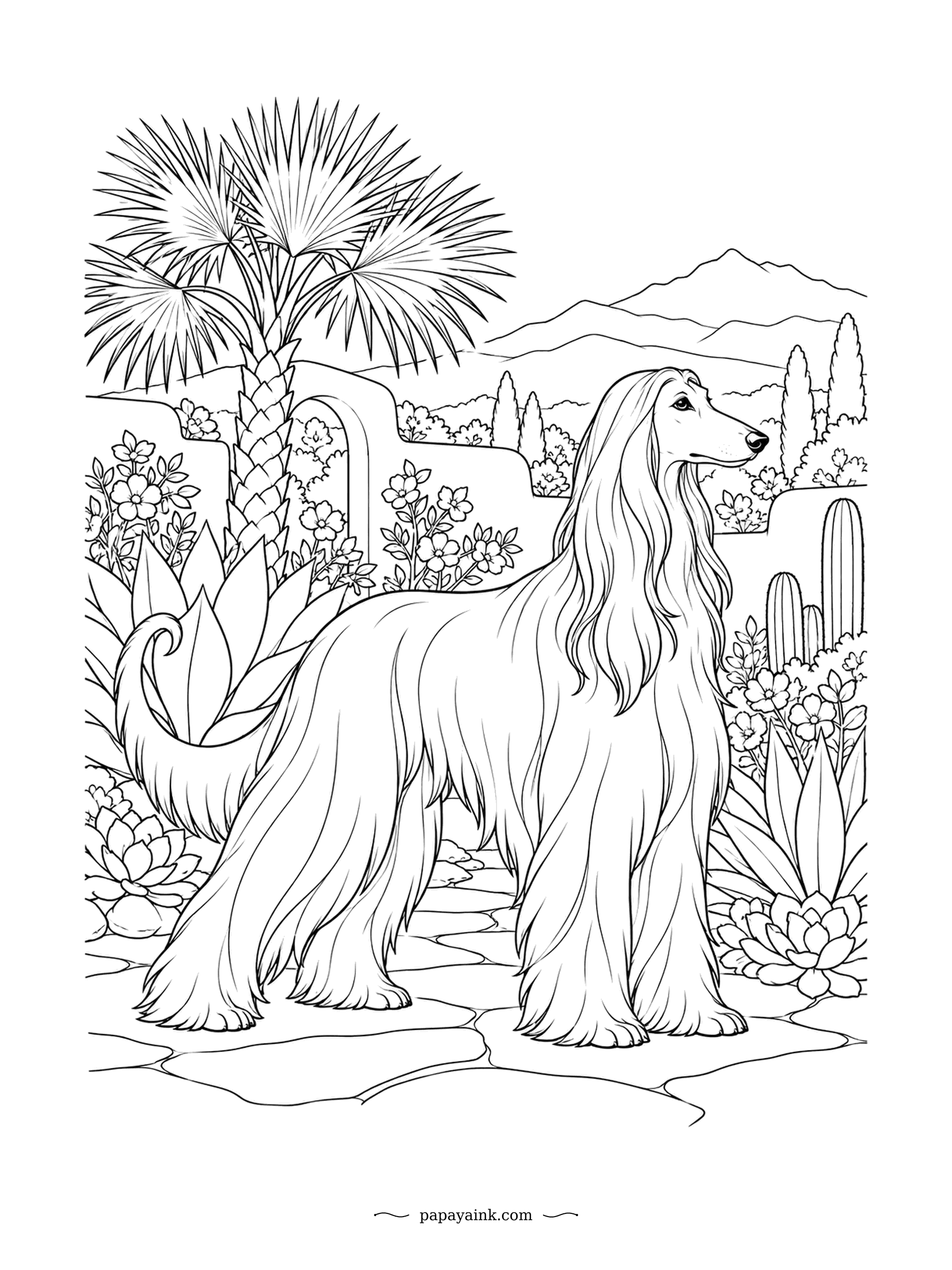 Dog Coloring Pages - Bred to hunt in the high country of Afghanistan, this hound now patrols a desert garden of agave, cactus and fan palms instead. Those locks took years to grow and fall like silk. Detailed - long flowing strands reward patient pencil work.