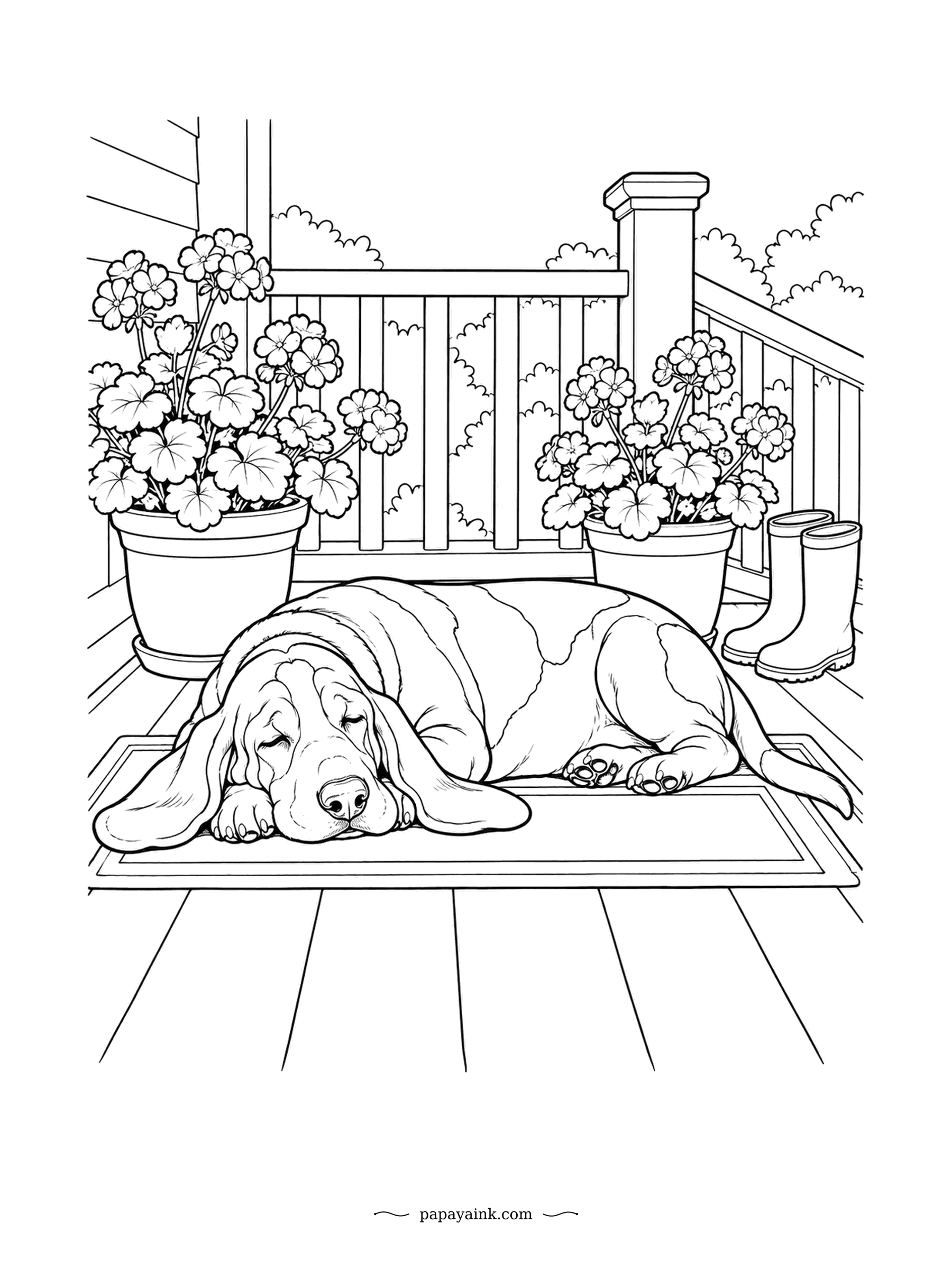 Dog Coloring Pages - Ears spread across the doormat like two velvet blankets, the basset has clocked off for the afternoon. Geraniums bloom on either side and the boots by the rail can wait. Soft browns and a creamy white suit this low-slung hound.