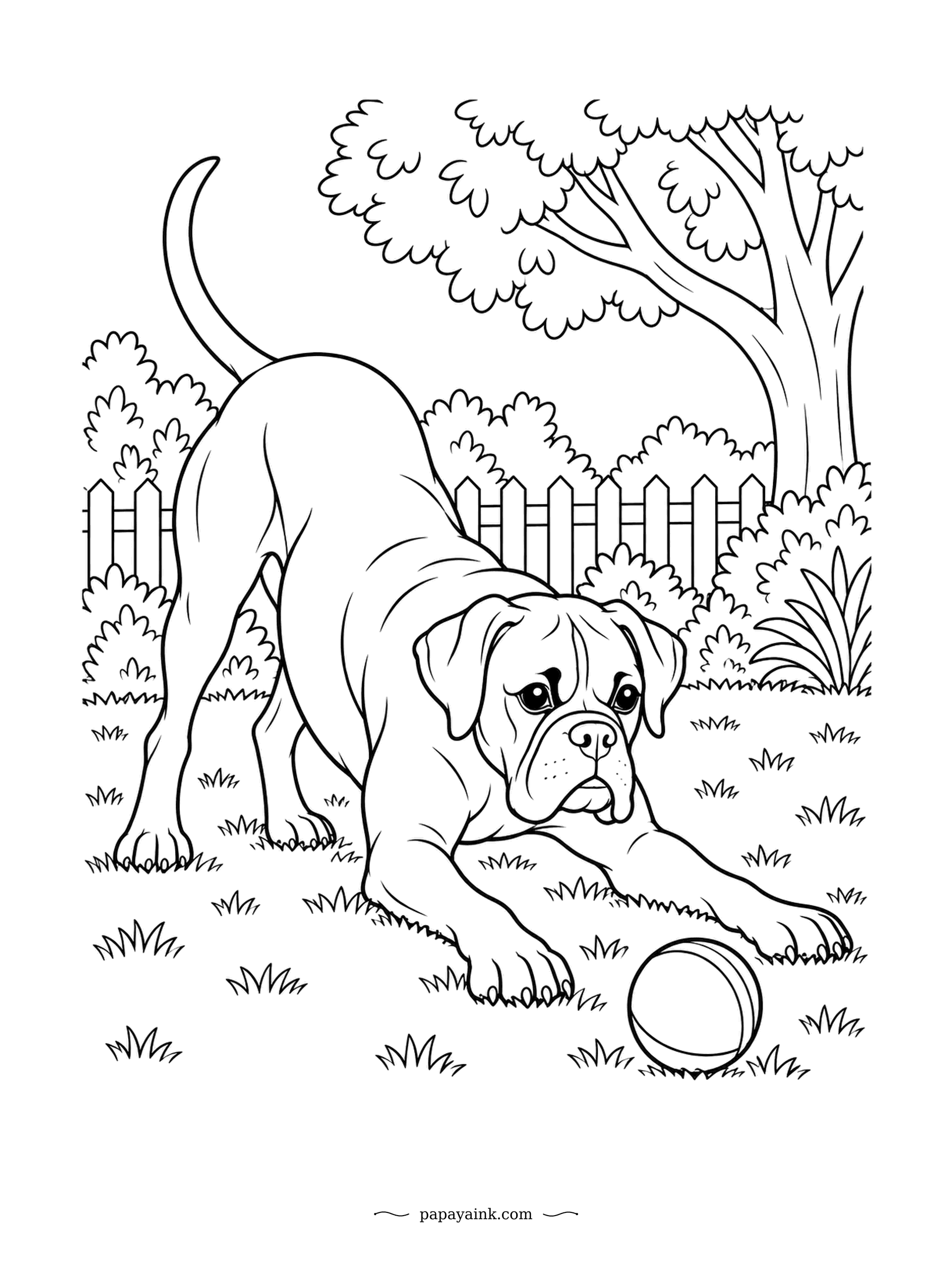 Dog Coloring Pages - Front end down, back end up, tail high: the universal canine invitation to play. The boxer has dropped the ball and is waiting for you to make the next move. Bold lines and open shapes - a relaxed page to finish in one sitting.