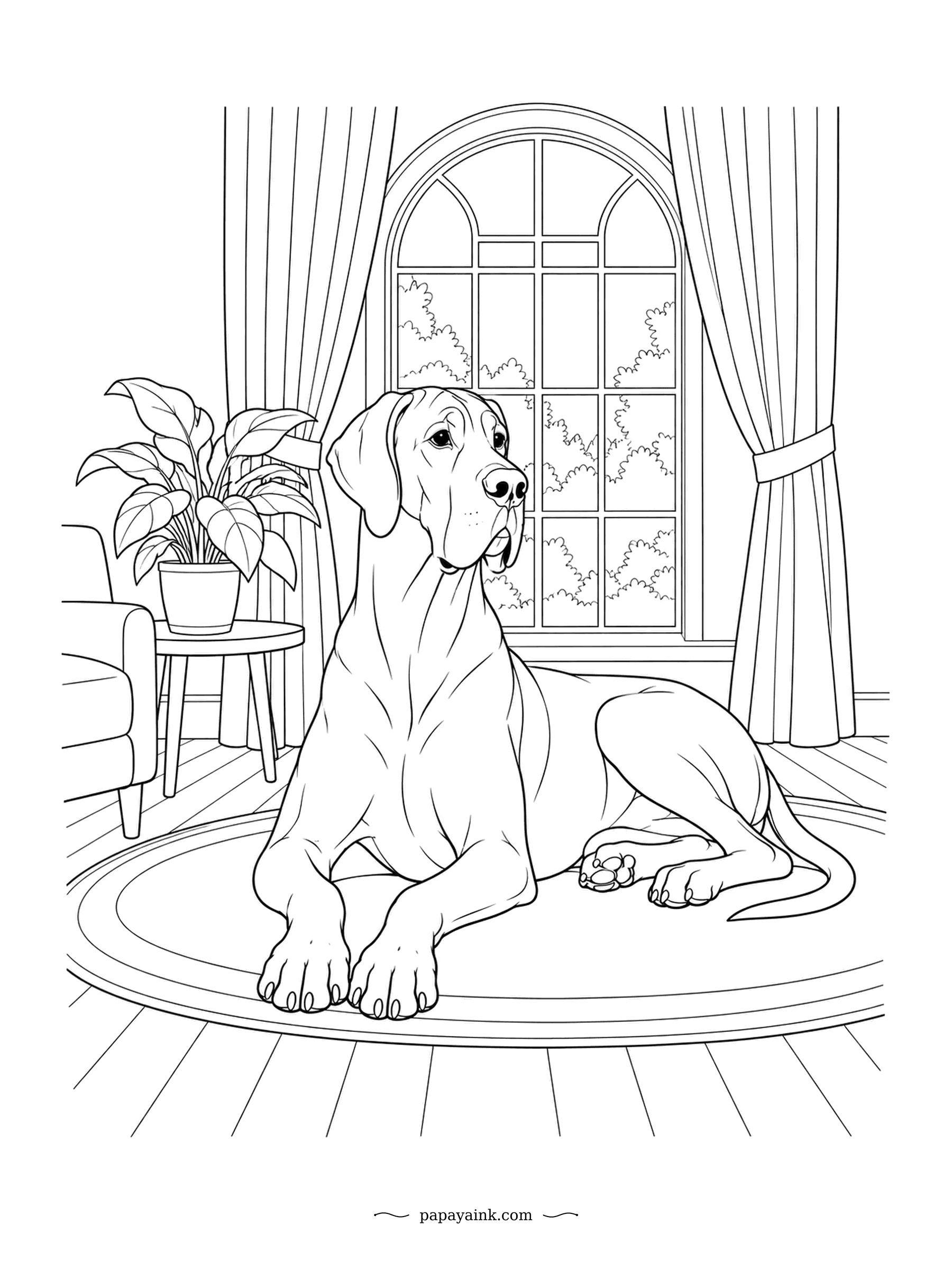 Dog Coloring Pages - Stretched over a round rug by the arched window, the Great Dane fills most of the living room and seems unbothered by it. Among the tallest breeds in the world, and one of the gentlest. Curtains, a plant and an armchair complete the room.