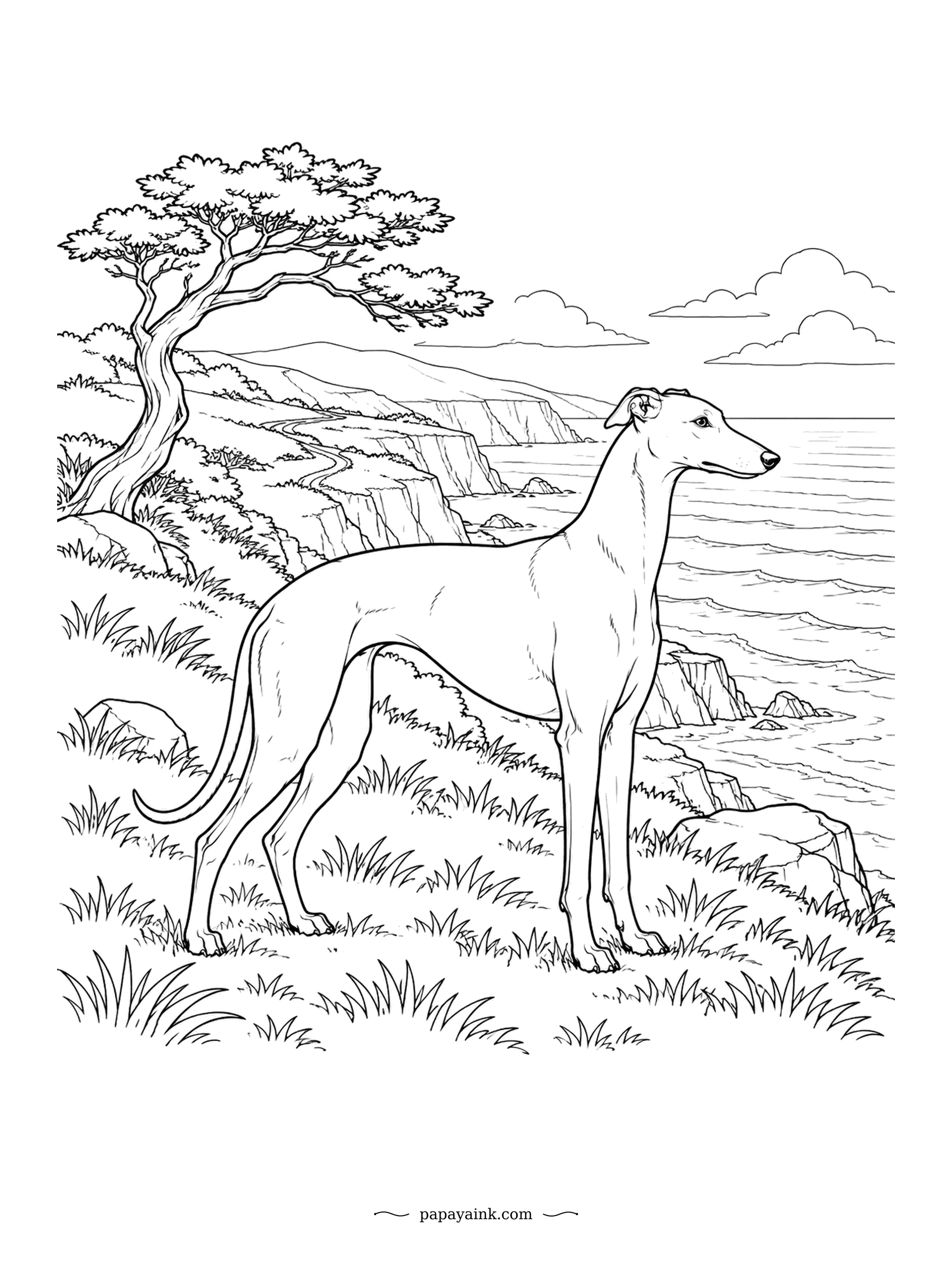 Dog Coloring Pages - A greyhound can top forty miles an hour, but this one has chosen to stand still on the cliff top and watch the waves. A windswept tree leans over the grass. Cliffs, surf and a winding shoreline stretch into the distance.