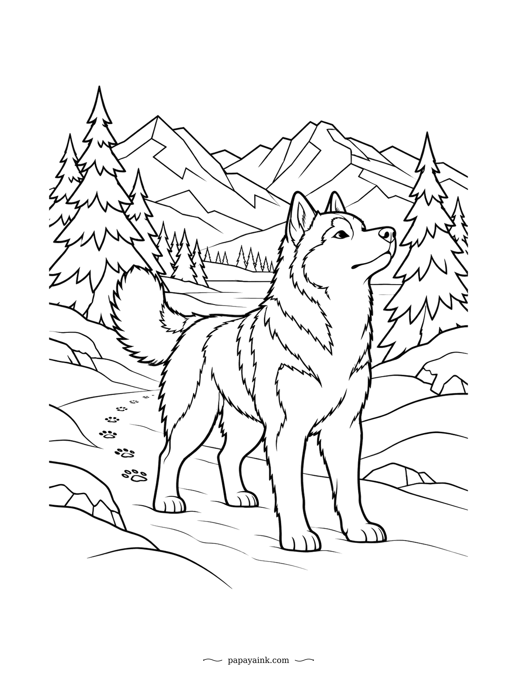 Dog Coloring Pages - Paw prints lead back to the pines, and the husky stops on the ridge to gaze at the peaks ahead. Thick double coat, plumed tail, a mask on the face. Try cool blue shadows on the snow and grey-and-white for the dog.