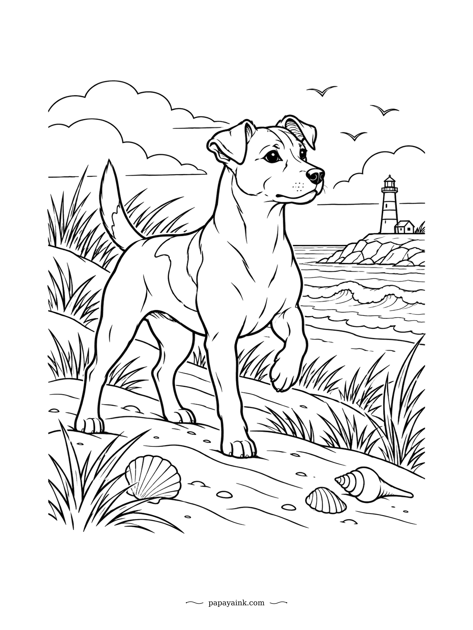 Dog Coloring Pages - One paw raised, every muscle ready, the Jack Russell has spotted something out on the dunes. A lighthouse rises on the far rocks and shells are scattered in the sand. Simple lines with a breezy seaside feel.