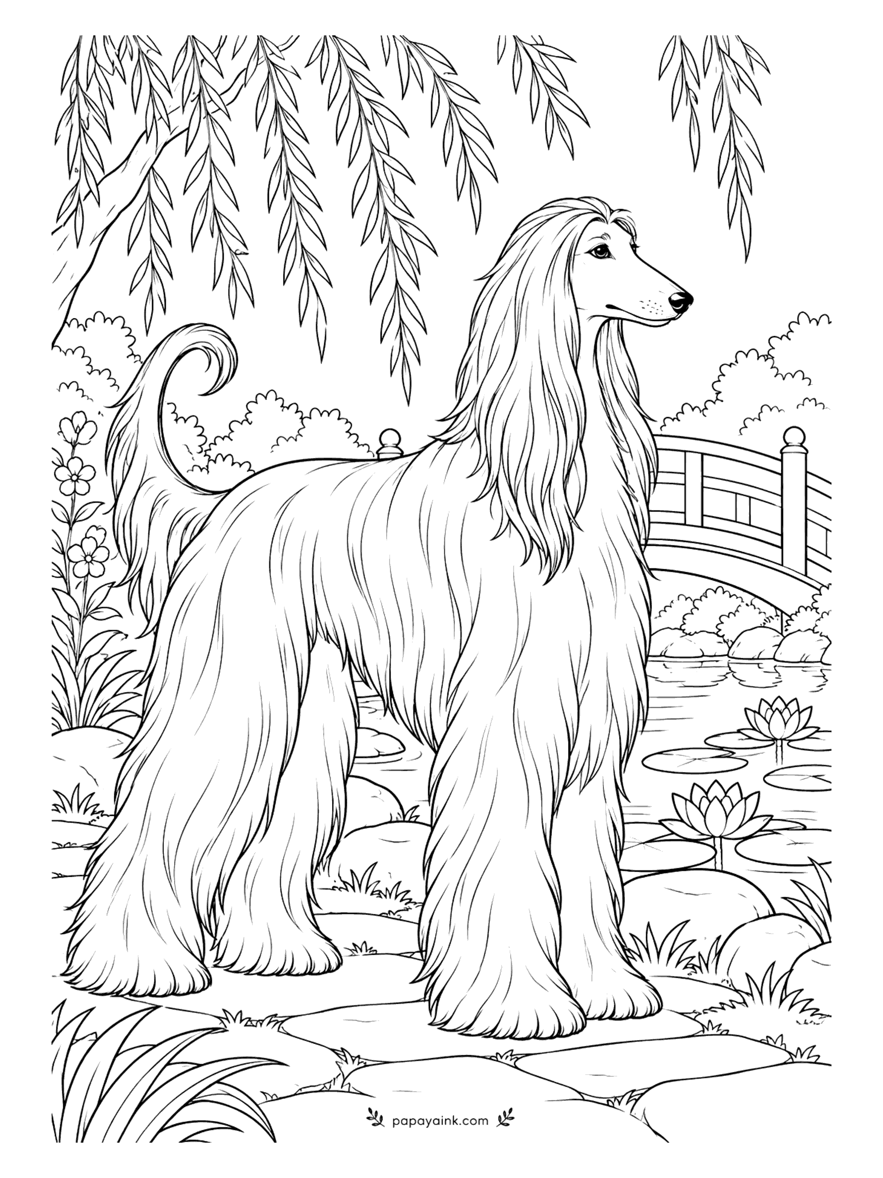 Dog Coloring Pages - An Afghan hound does not pose; it simply stands there and the garden arranges itself around it. Willow branches hang overhead, water lilies float on the pond, a footbridge crosses behind. Detailed - follow the fall of the coat with long downward strokes.