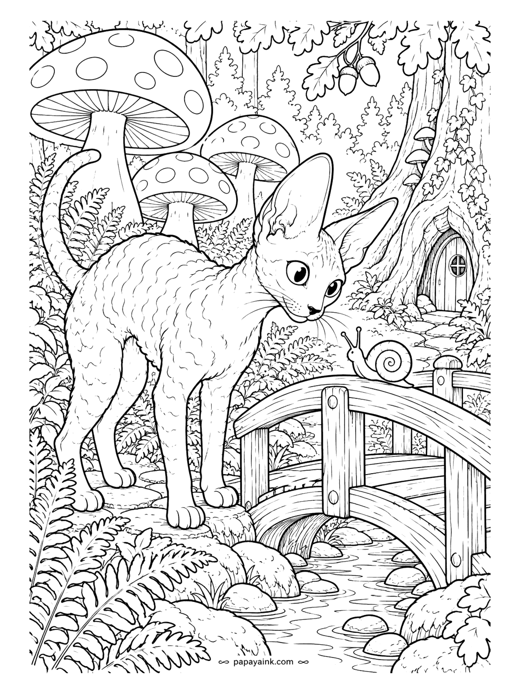 Cat Coloring Pages - Fairy-tale forest: a Cornish Rex on the little wooden bridge under spotted mushrooms, a snail on the rail and a tiny door in the tree. Wavy coat, huge ears. Detailed - ferns and acorns fill every corner.