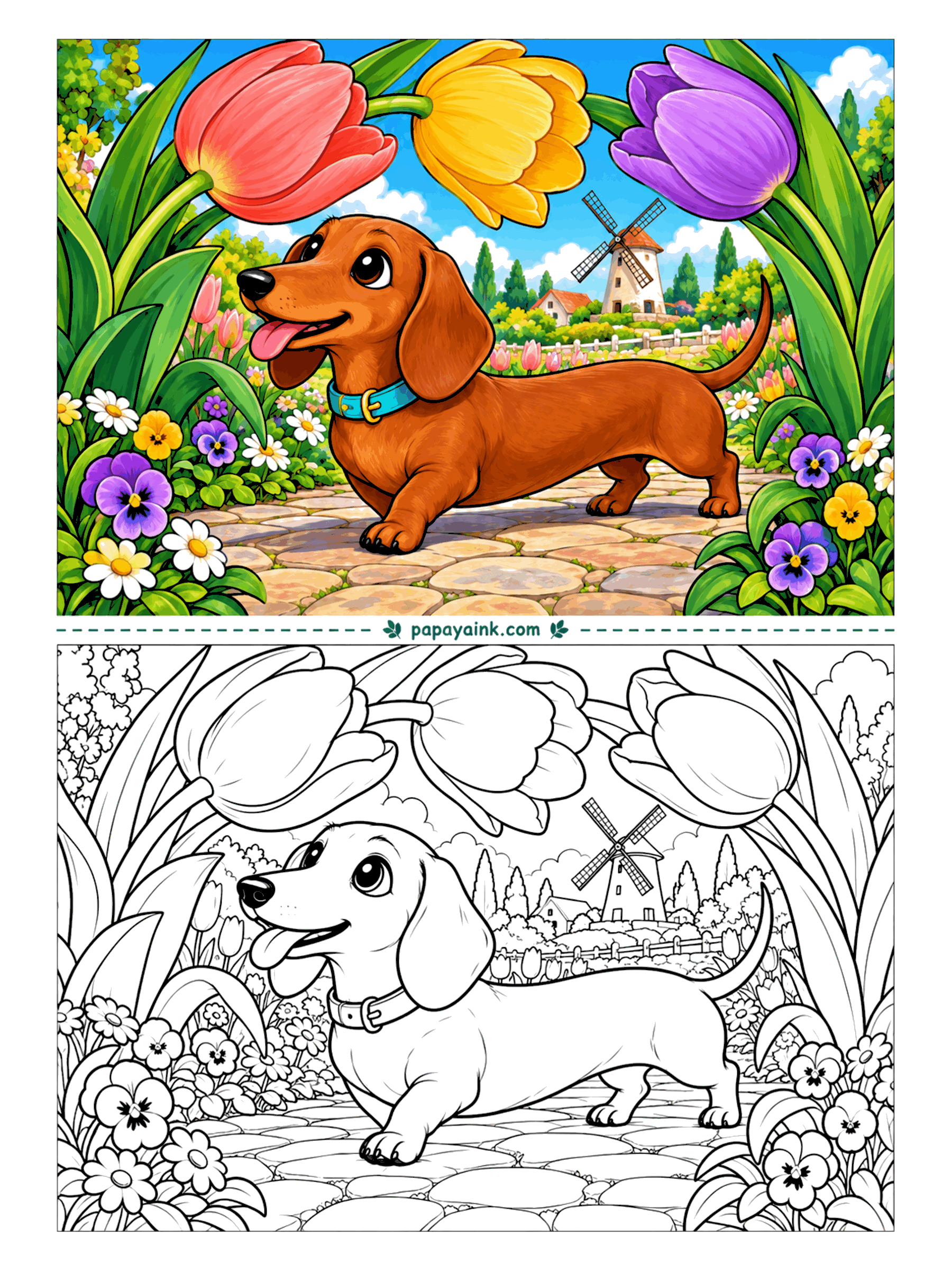 Dog Coloring Pages - Seen from dachshund height, tulips are the size of trees. This one trots along a stone path under enormous blooms, with pansies at paw level and a windmill far behind. Bold, open shapes - a good page for markers.