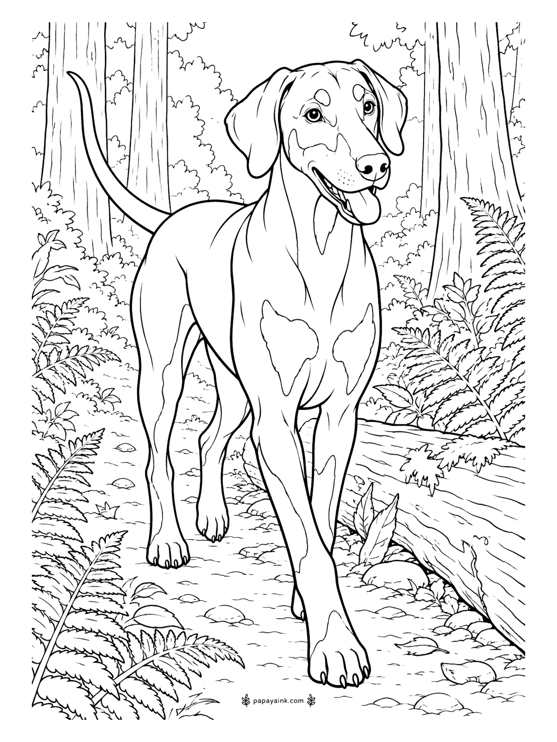Dog Coloring Pages - Ferns on both sides, a fallen log, and a Doberman coming down the trail at an easy walk, tongue out. The rust markings on the brows, chest and legs are already outlined - fill them in tan and keep the rest black or deep brown.