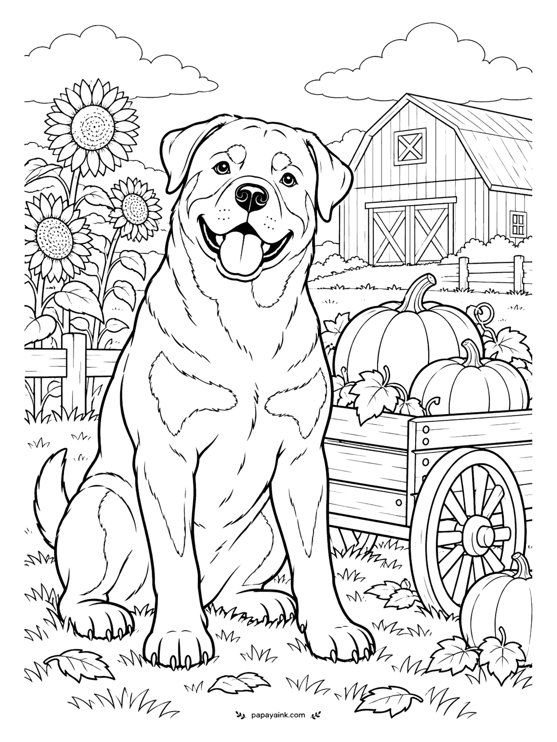 Dog Coloring Pages - Guarding pumpkins is easy work, and the Rottweiler knows it. He sits in front of the loaded cart with a grin as wide as the barn door, sunflowers nodding over the fence. Black coat, mahogany markings, and every orange in the box for the harvest.