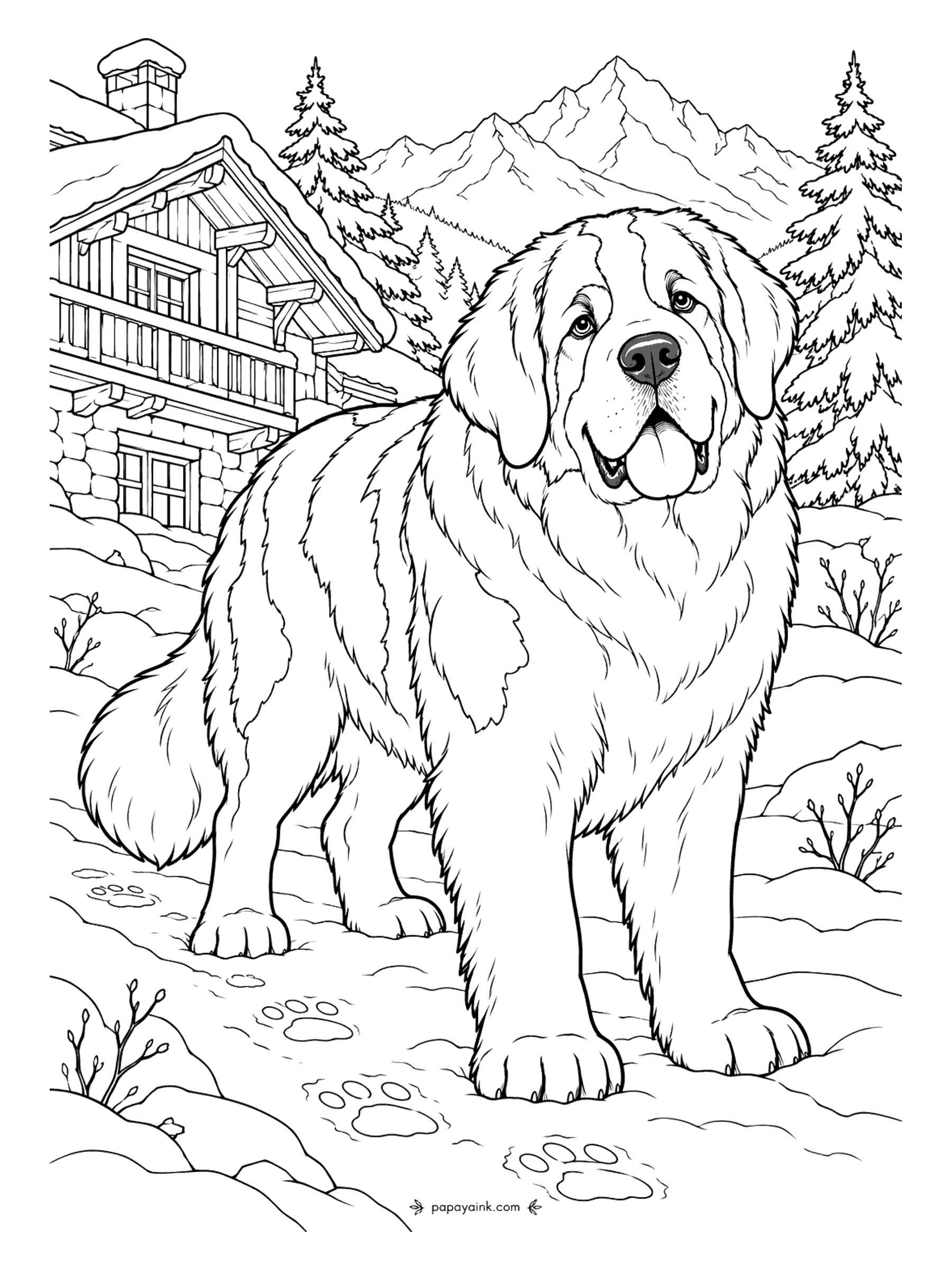 Dog Coloring Pages - Paw prints lead up to the chalet, and the Saint Bernard that made them is the size of a small sofa. Mountains and snow-laden firs stand behind. Detailed - long strokes of red-brown for the coat, with the blaze, chest and paws left white.