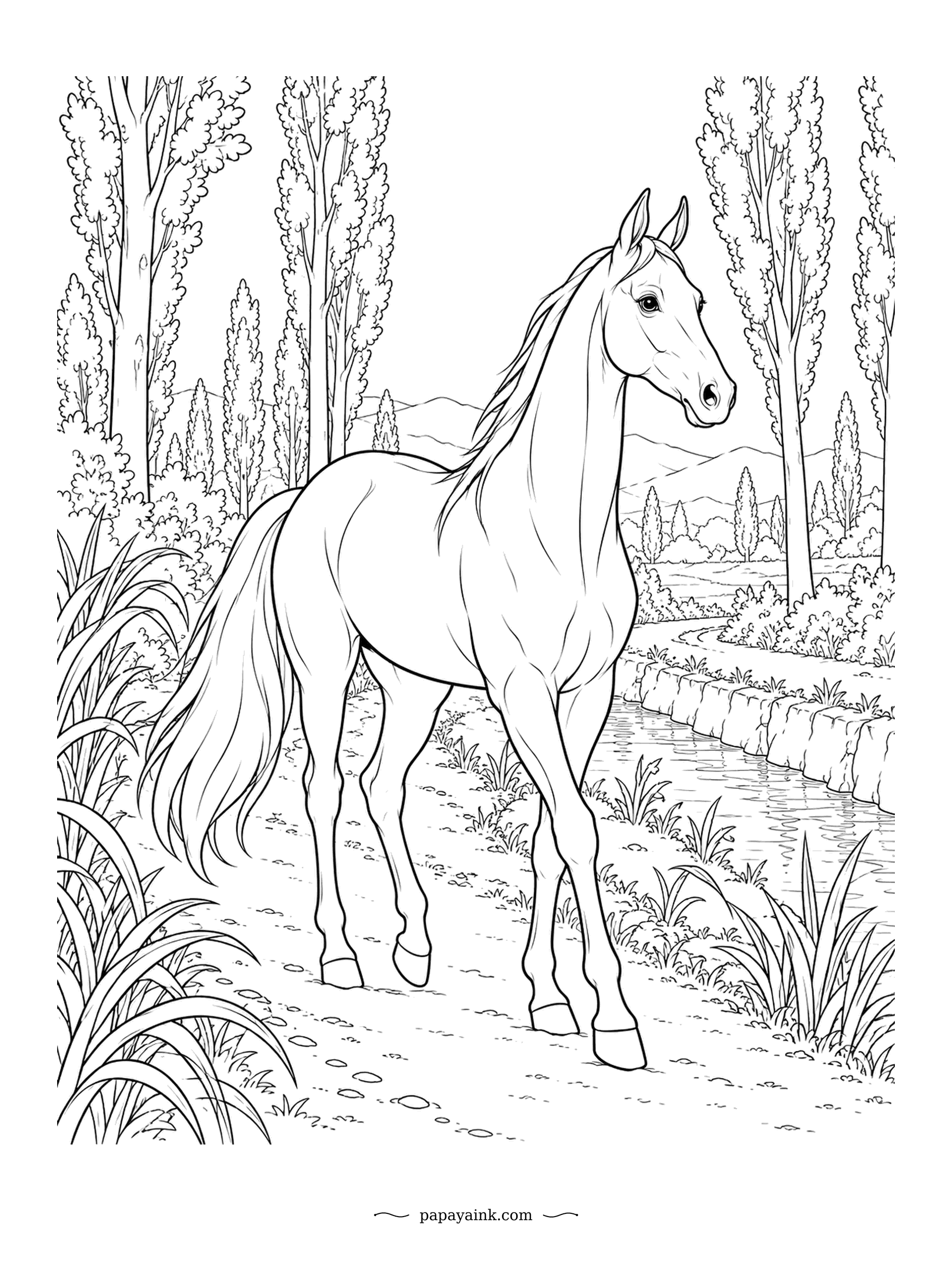 Horse Coloring Pages - An Akhal-Teke on a dusty path between poplars, an irrigation channel running alongside. The breed is famous for a metallic sheen on the coat, so leave thin bands of white along the neck and flank to suggest the shine. Tall trees, lean horse, long lines.