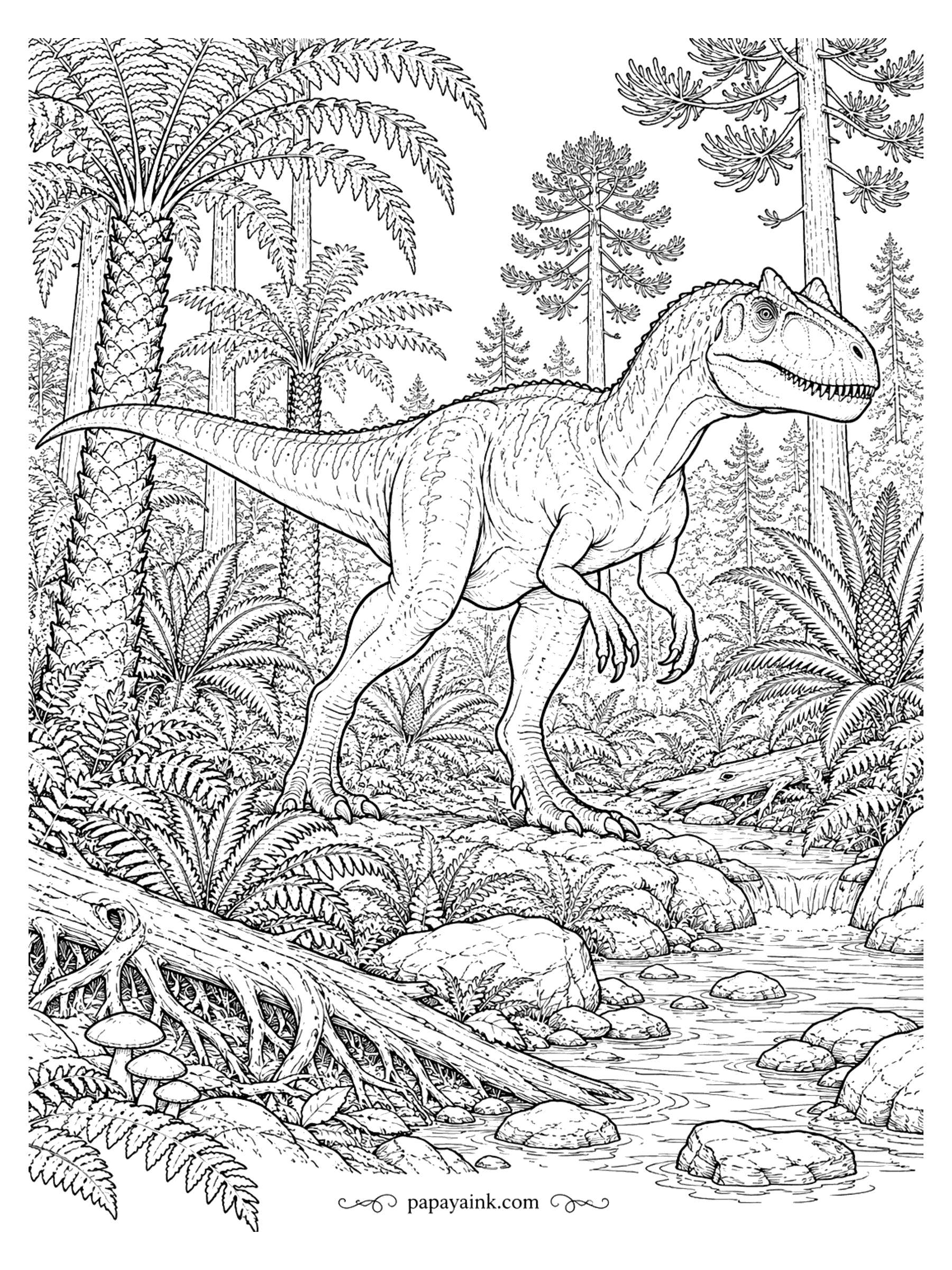 Allosaurus Coloring Pages - Allosaurus stepping through a dense Jurassic forest of tree ferns, cycads and tall conifers beside a stony stream. Detailed.