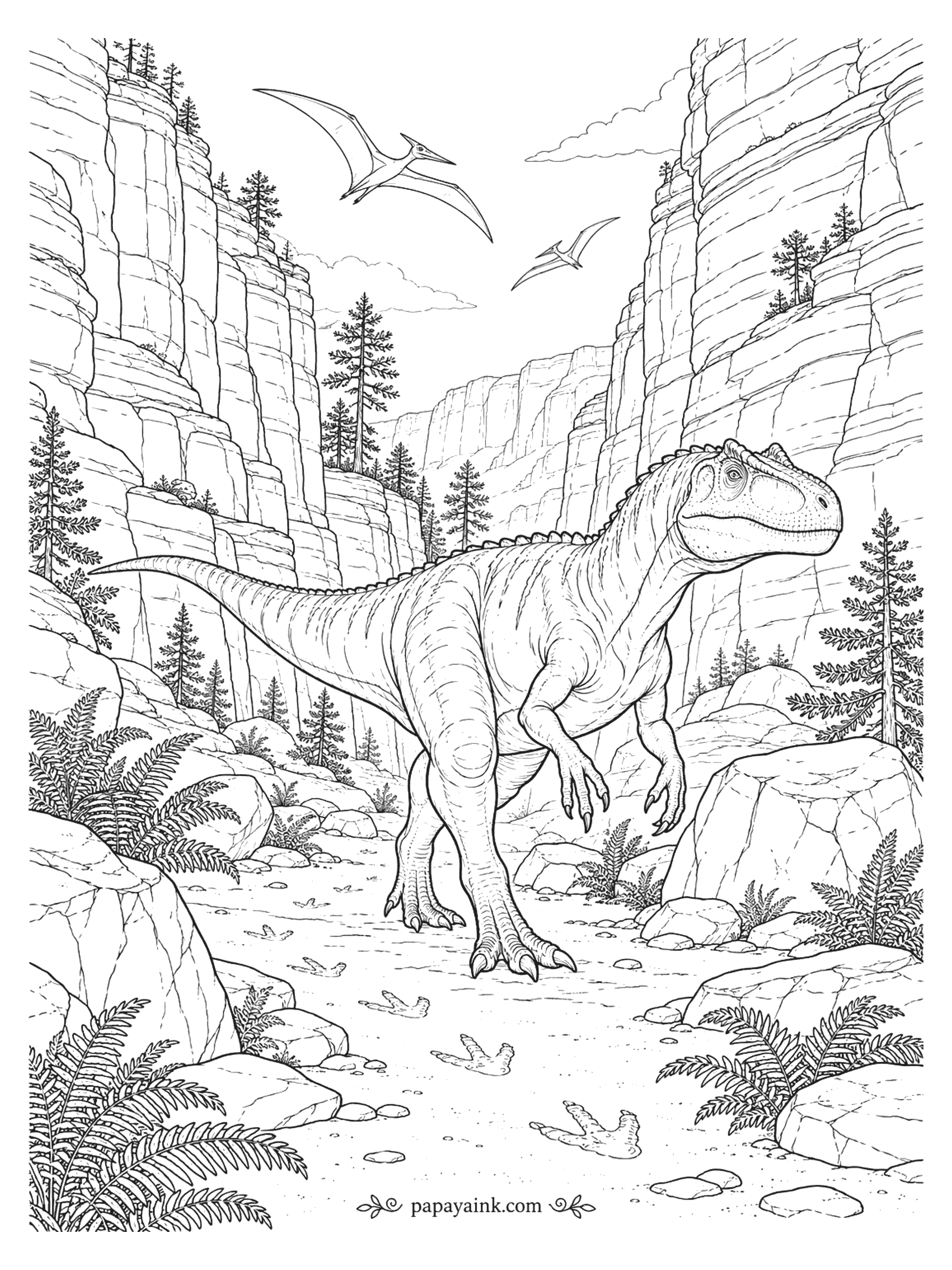 Allosaurus Coloring Pages - Allosaurus walking a sandy canyon floor between towering layered rock walls, leaving tracks under circling pterosaurs.