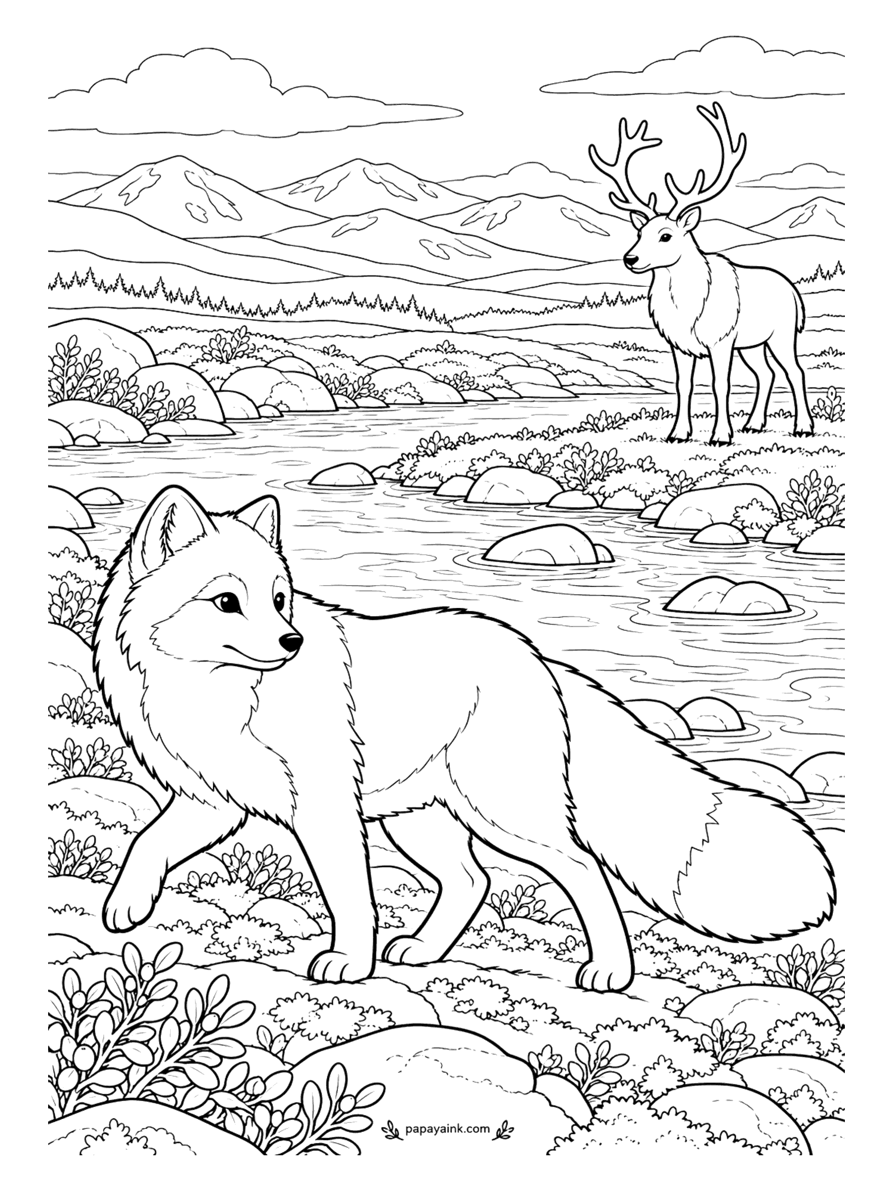 Fox Coloring Pages - Tundra summers are short, so everyone is out in this one. An arctic fox trots along the stream bank while a reindeer with a full set of antlers watches from the far side. In summer this fox wears brown and gray, not white - a nice twist to color.