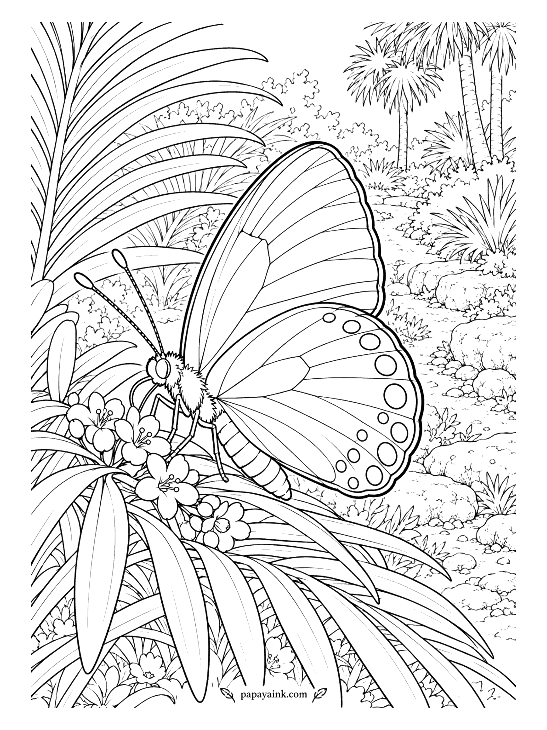 Butterfly Coloring Pages - Once feared lost from Florida, the atala came back thanks to gardeners planting coontie, the native cycad its caterpillars depend on. Seen from the side among palm-like leaves: black wings, a few iridescent blue spots, and a bright orange-red body.