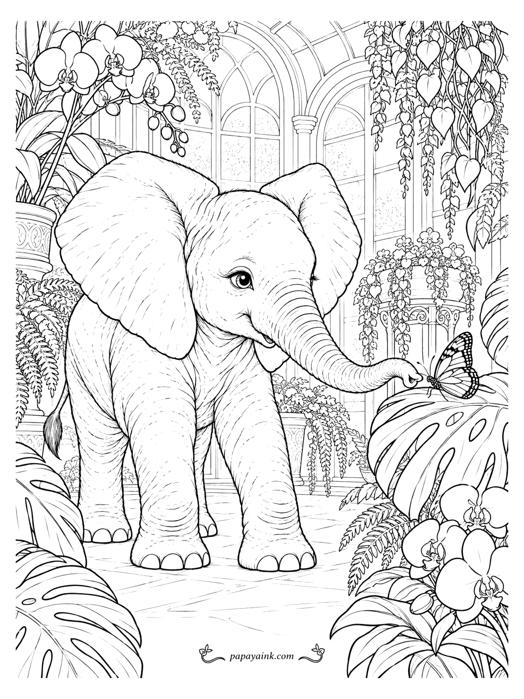 Elephant Coloring Pages - A baby elephant reaches its trunk toward a butterfly resting on a monstera leaf inside a glass greenhouse full of orchids.