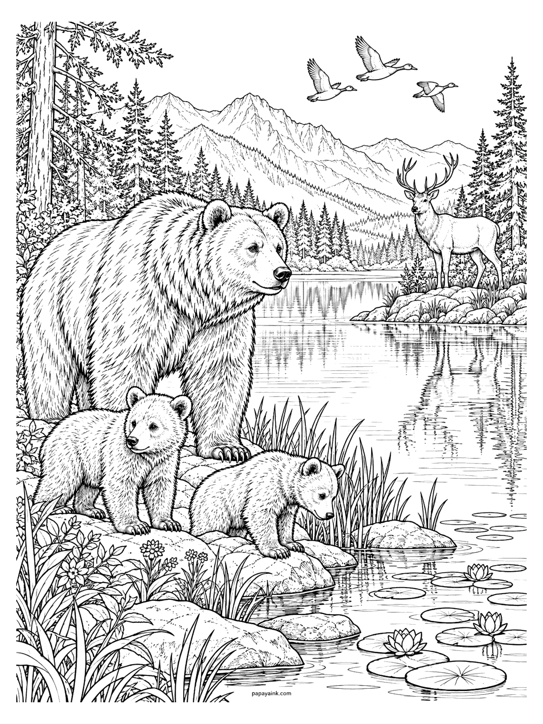 Bear Coloring Pages - A bear family rests on the stones of a calm mountain lake with water lilies, an elk standing on the far shore and geese flying over the peaks. Detailed.