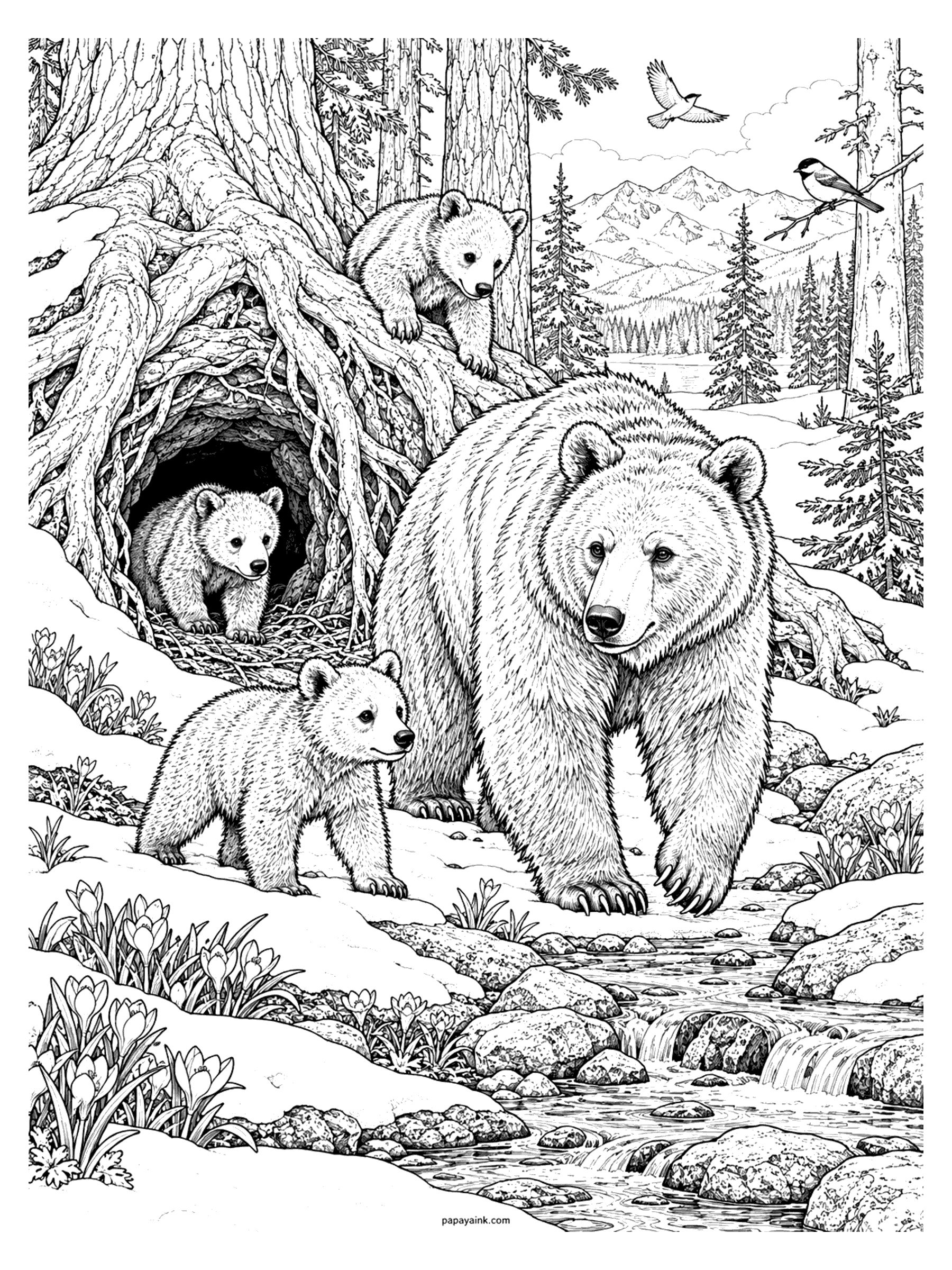 Bear Coloring Pages - Spring awakening: a mother bear and her cubs step out of a den under giant tree roots into melting snow, crocuses, a running creek and singing birds. Detailed.