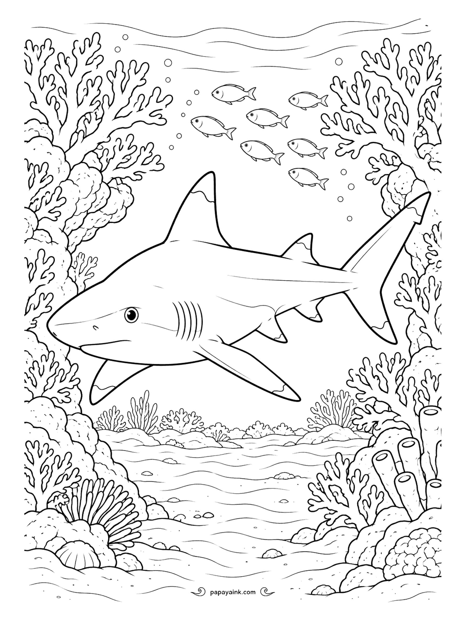 Shark Coloring Pages - For one of the most common sharks on Indo-Pacific reefs, the blacktip is surprisingly shy and usually turns away from divers. Color only the outlined fin tips black and keep the rest of the body a soft gray, so the marks really stand out.