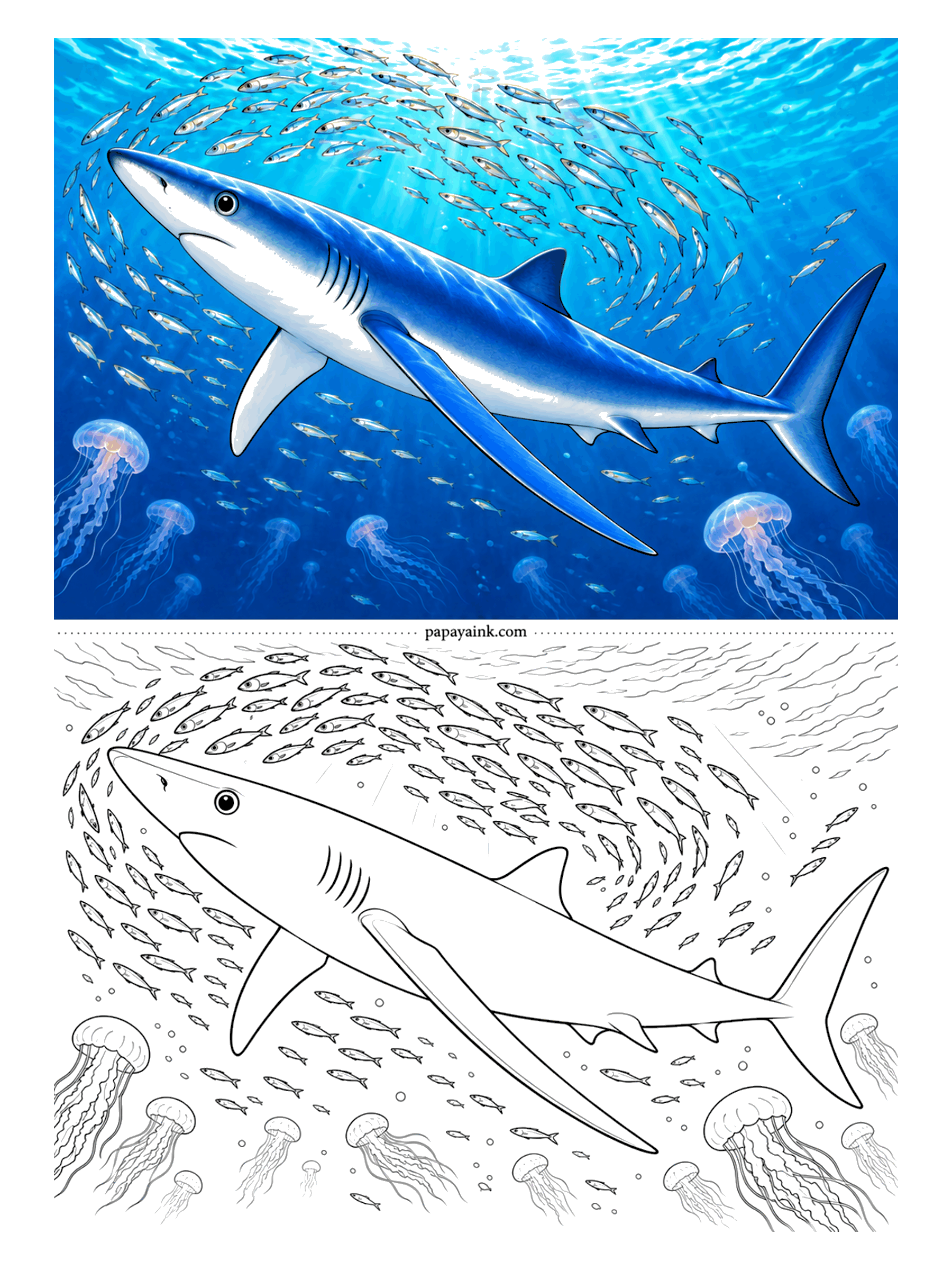Shark Coloring Pages - Long, slim and built for distance, blue sharks cross entire oceans. That color is real: deep indigo on the back, bright blue sides, snow-white belly. Three blues, dark to light, will do the whole shark.