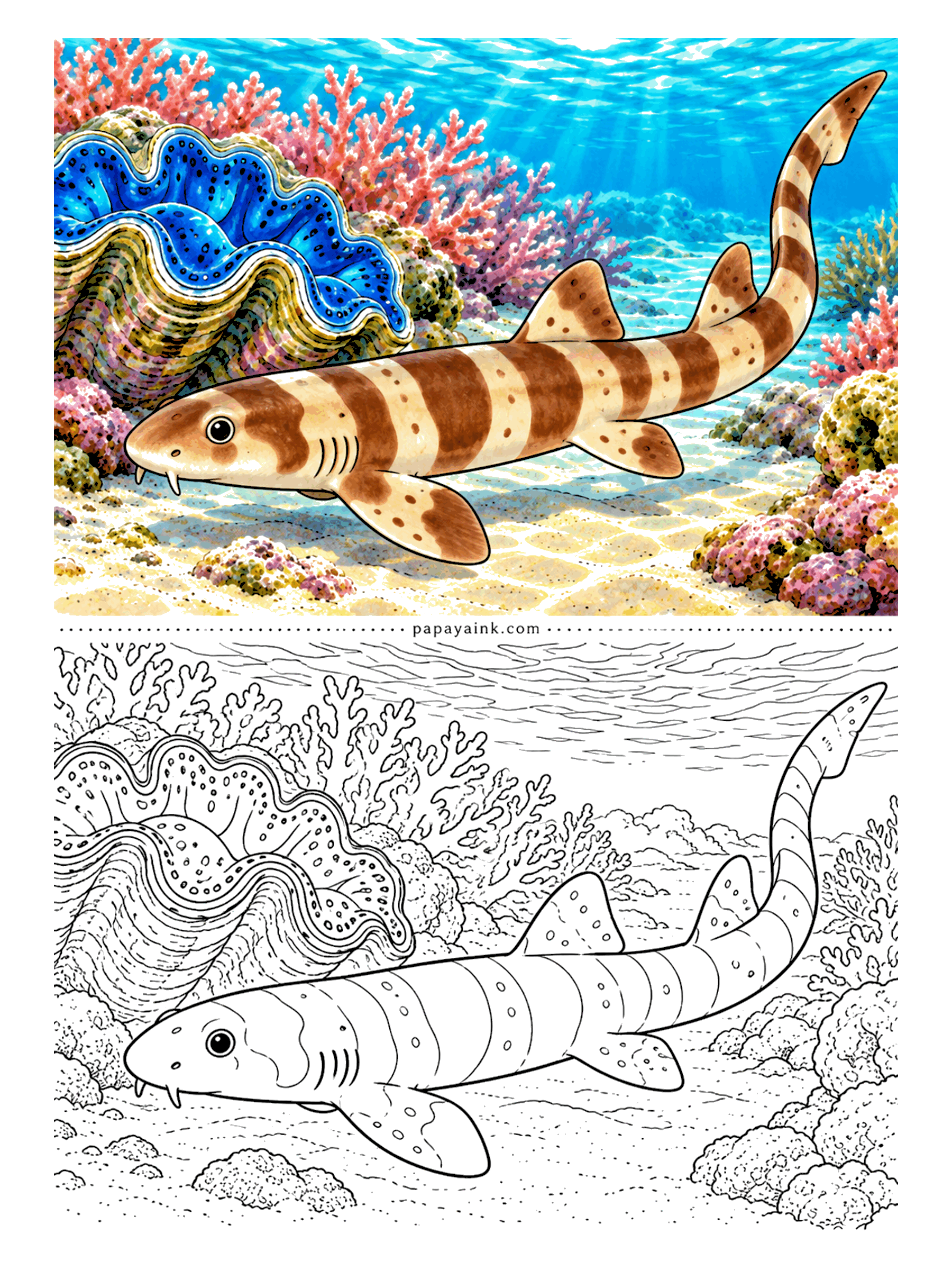 Shark Coloring Pages - Bold brown bands are a childhood outfit: brownbanded bamboo sharks fade to plain brown as adults. This youngster is gliding past a giant clam, whose wavy blue-green mantle is the showpiece of the page.