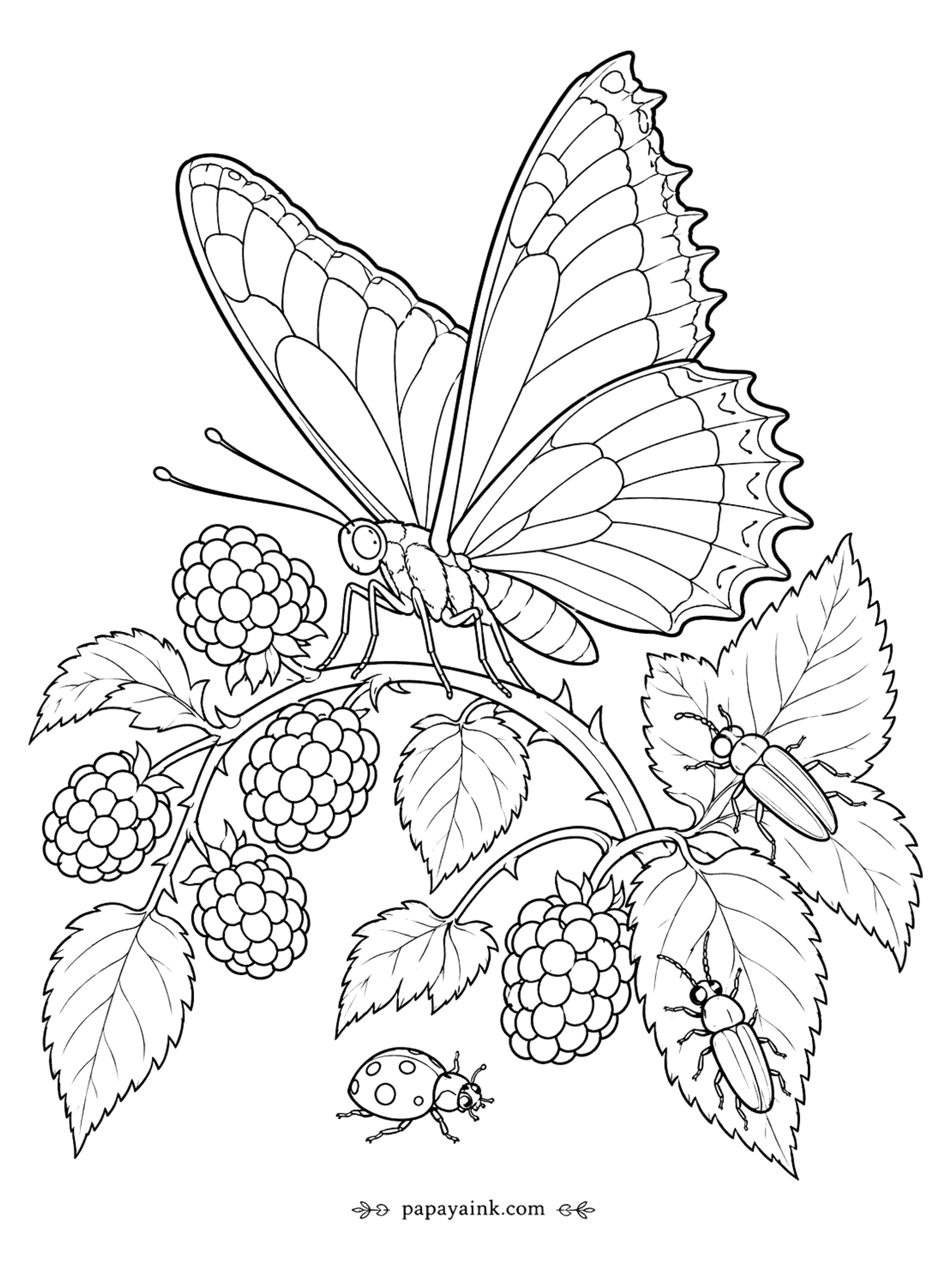 Butterfly Coloring Pages - Butterfly Coloring Page: Blackberry Branch with Ladybug and Beetles (Detailed)