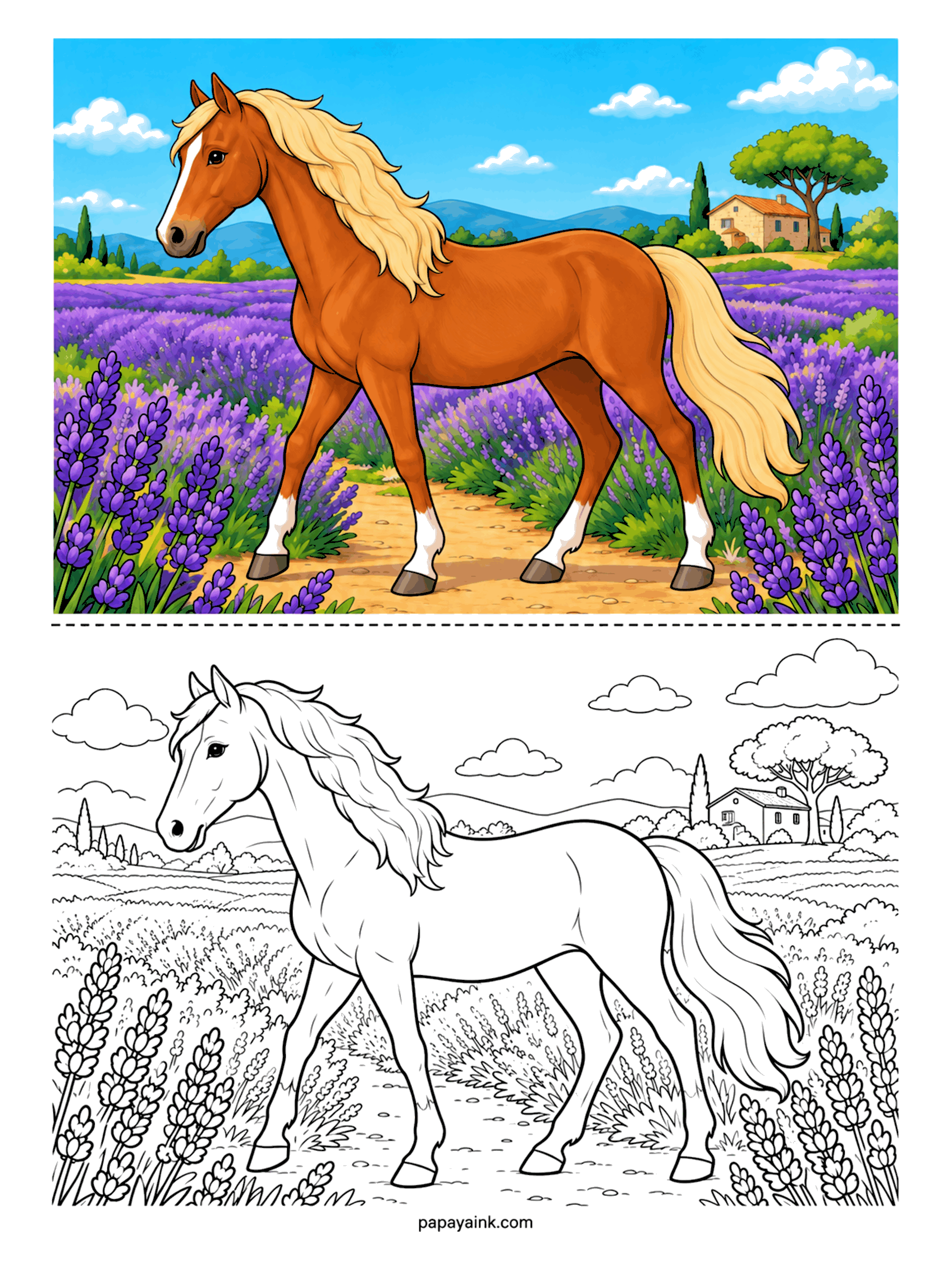 Horse Coloring Pages - Lavender from edge to edge, and one warm chestnut with a flaxen mane walking the dirt path between the rows, a stone farmhouse and a lone pine on the hill behind. Keep the mane pale and the purple-against-orange contrast does the rest.