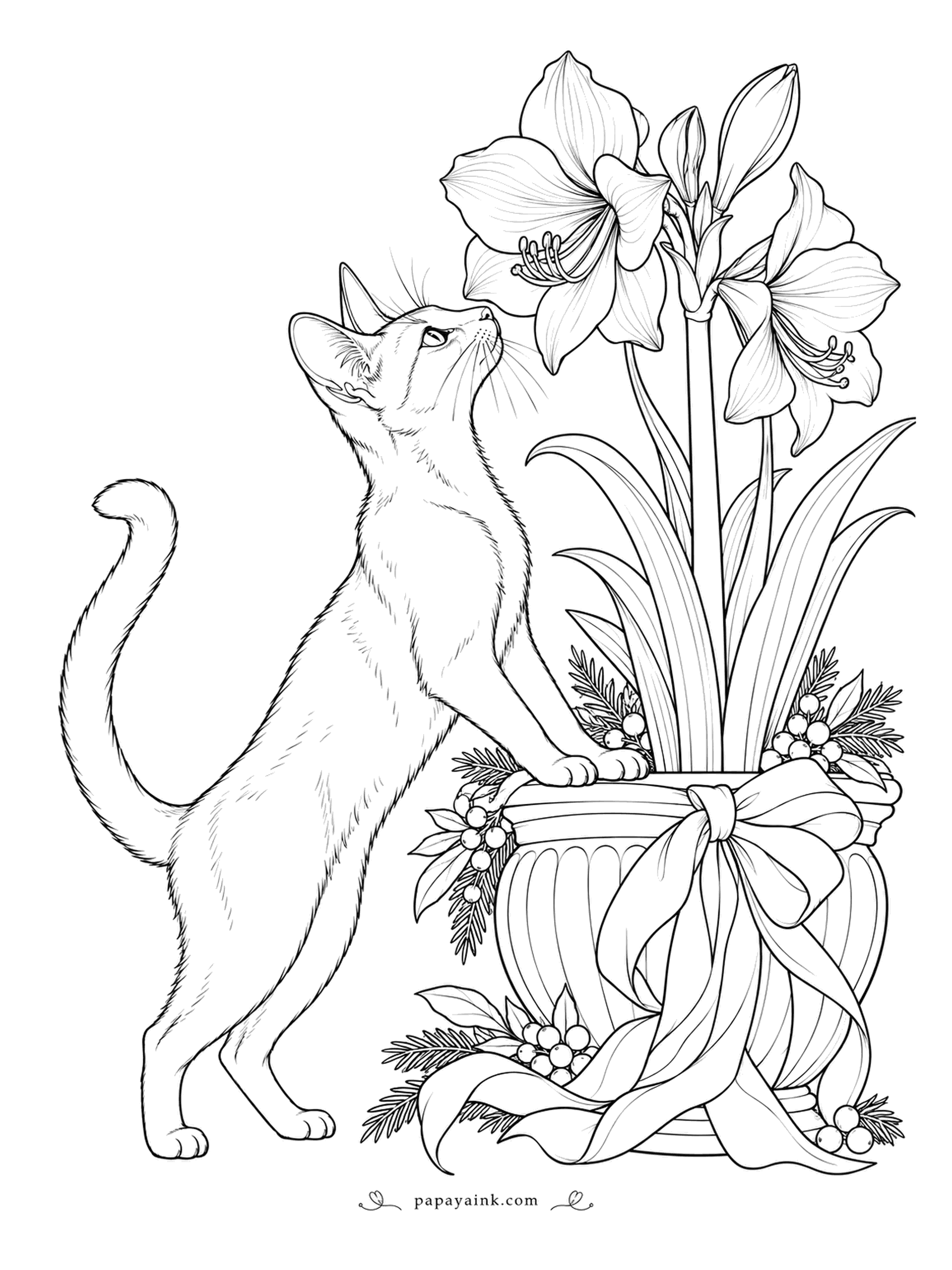 Christmas Cat Coloring Pages - An Abyssinian stands up on her hind legs to inspect the amaryllis, nose to the trumpet, and finds nothing worth knocking over. The pot wears a ribbon and berries for the season. Red petals against ruddy fur is the classic pairing here.