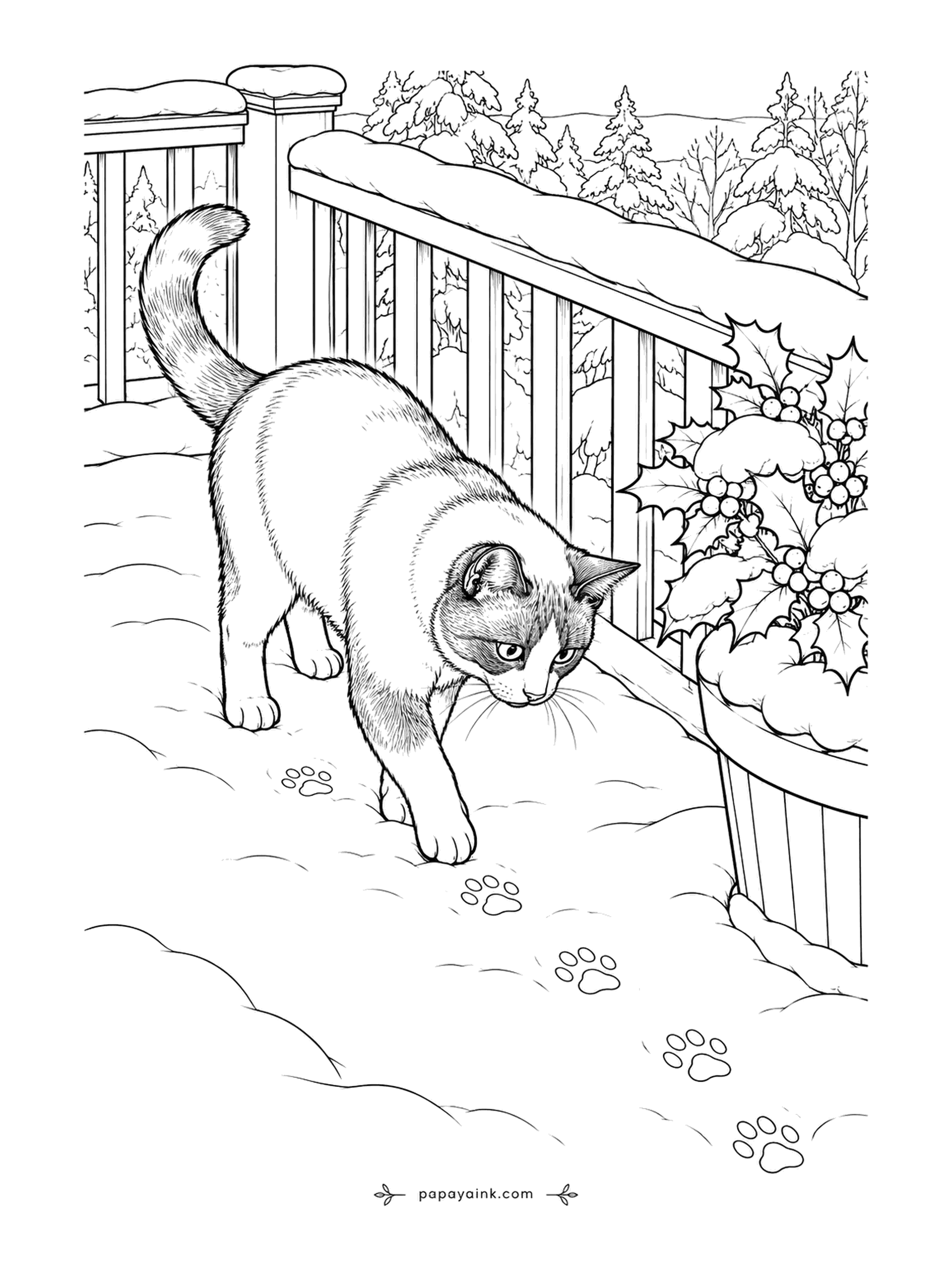 Christmas Cat Coloring Pages - A Snowshoe cat, named for her white socks, tests the fresh snow on the balcony one careful step at a time. The paw prints behind her are the evidence. Dark mask and ears, light body, snowy feet - the breed does the planning for you.