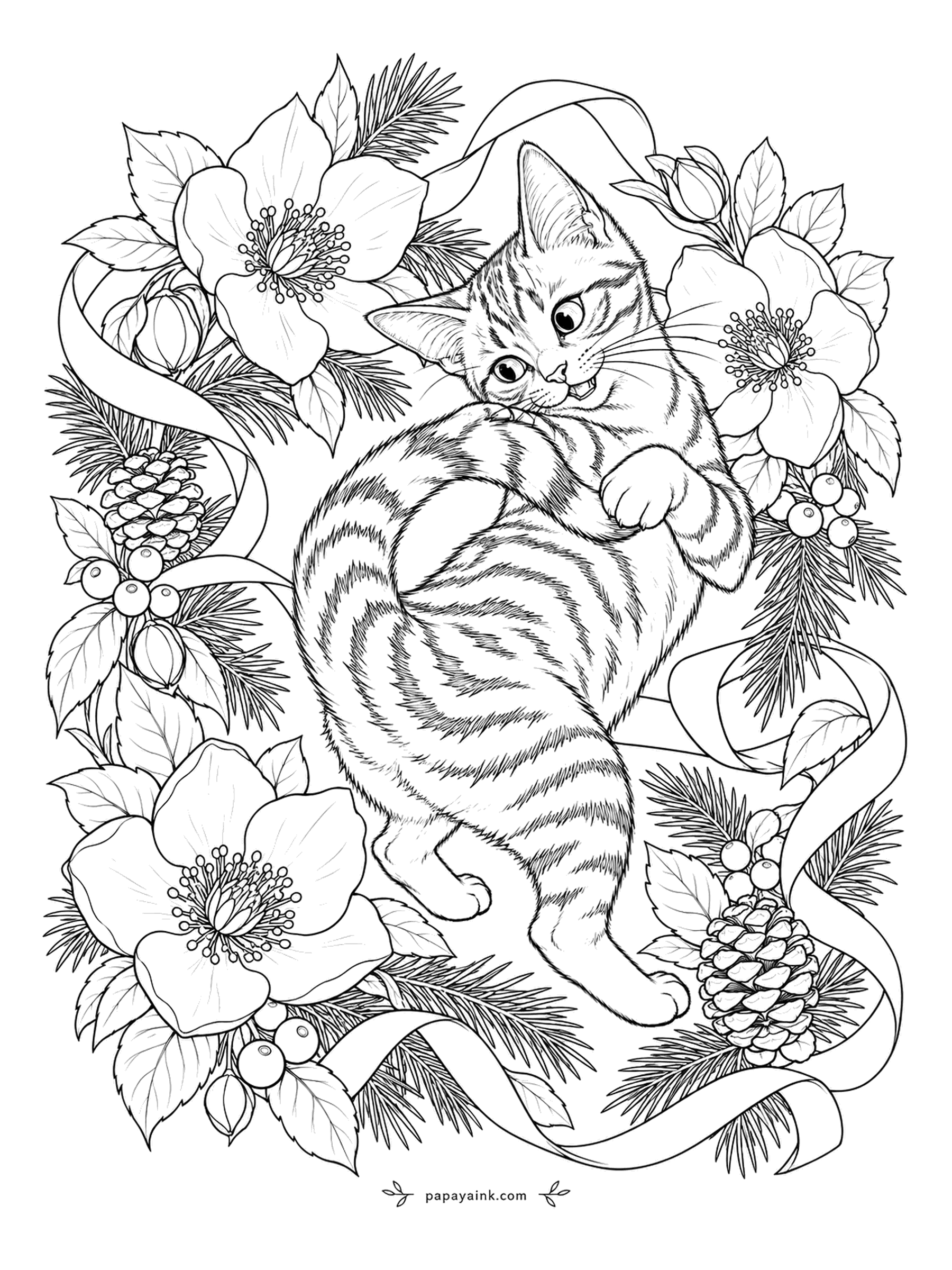 Christmas Cat Coloring Pages - Hellebores are called Christmas roses because they bloom in midwinter, which this tabby does not care about; she is busy catching her own tail. Pine, ribbon and pinecones circle the chase. White petals with a pale green center are true to the plant.