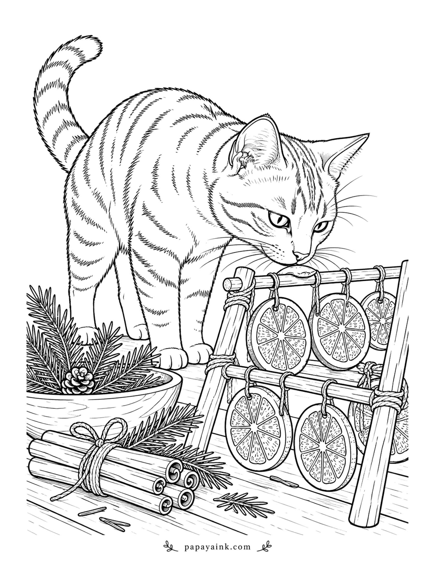 Christmas Cat Coloring Pages - Orange slices hang on a wooden rack to dry, and the tabby is checking each one by nose. Cinnamon sticks and pine cones wait on the table. Go for deep orange on the slices and let the rind glow.