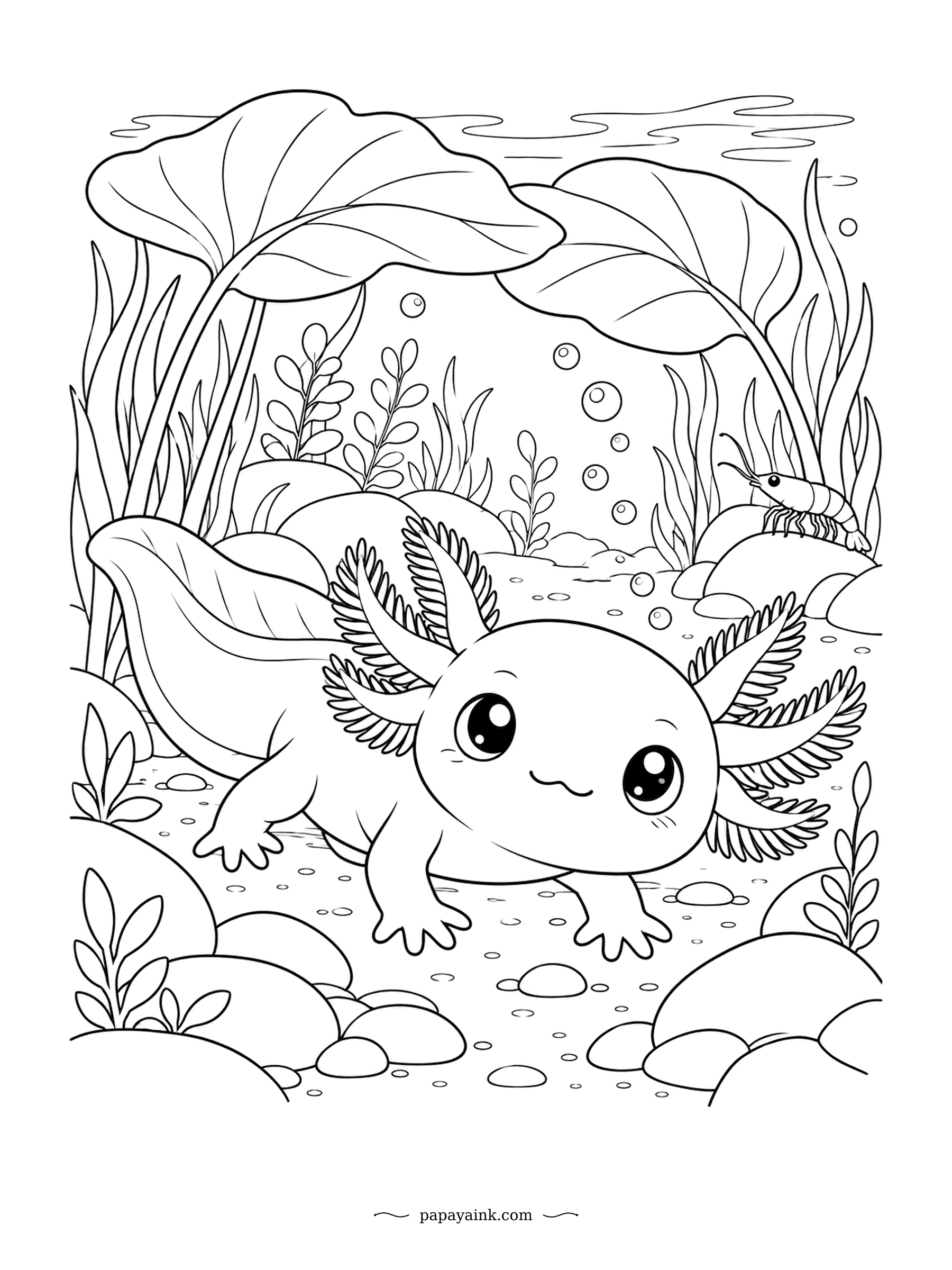 Cute Kawaii Coloring Pages - Feathery gills out, tiny hands spread, the axolotl paddles along the bottom of a water garden under giant lily leaves. A shrimp watches from a rock; axolotls can regrow lost limbs, which may explain the confidence. Soft pink is the classic choice.