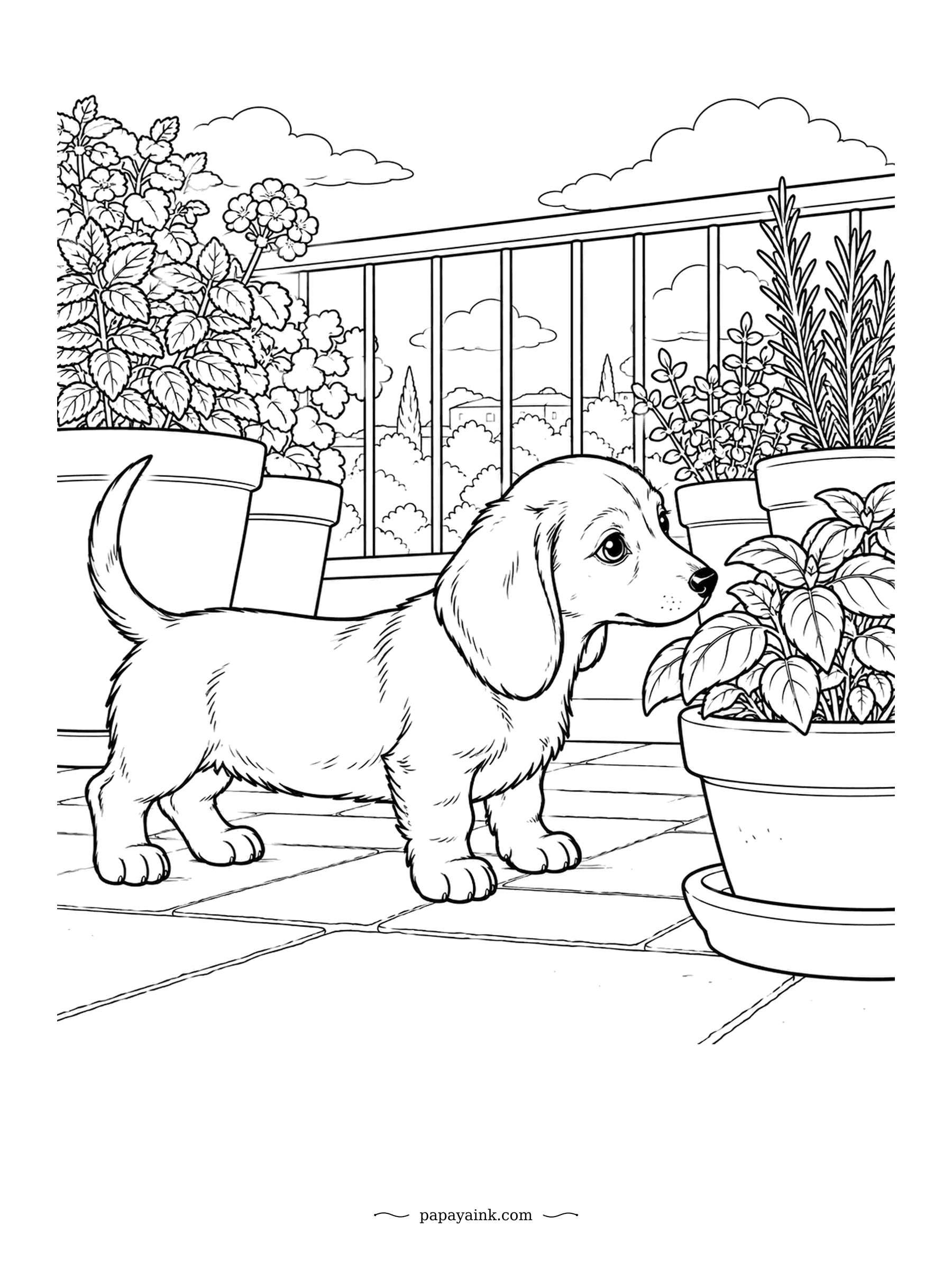 Puppy Coloring Pages - Basil, rosemary and mint fill the balcony planters, and the little dachshund is inspecting each pot in turn. Rooftops and treetops show beyond the railing. Fresh greens and terracotta make a calm palette.