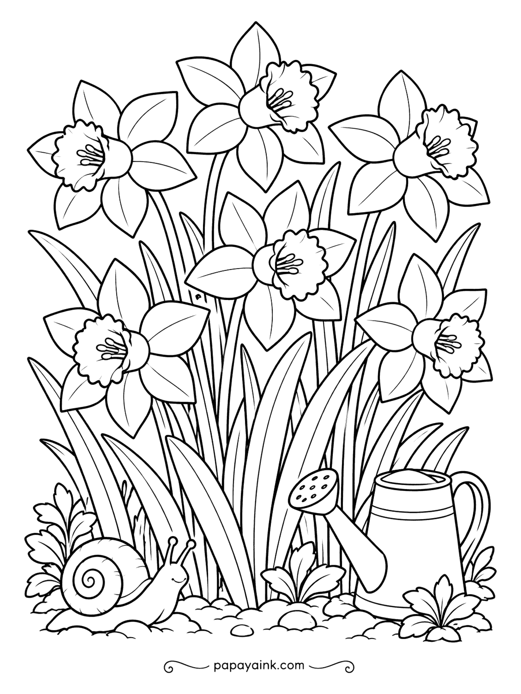 Flower Coloring Pages - A snail is making slow progress past the daffodils, and a watering can sits tucked in the grass. The bulbs under them will flower again next spring, often for decades. Bold outlines - an easy one to finish in an afternoon.