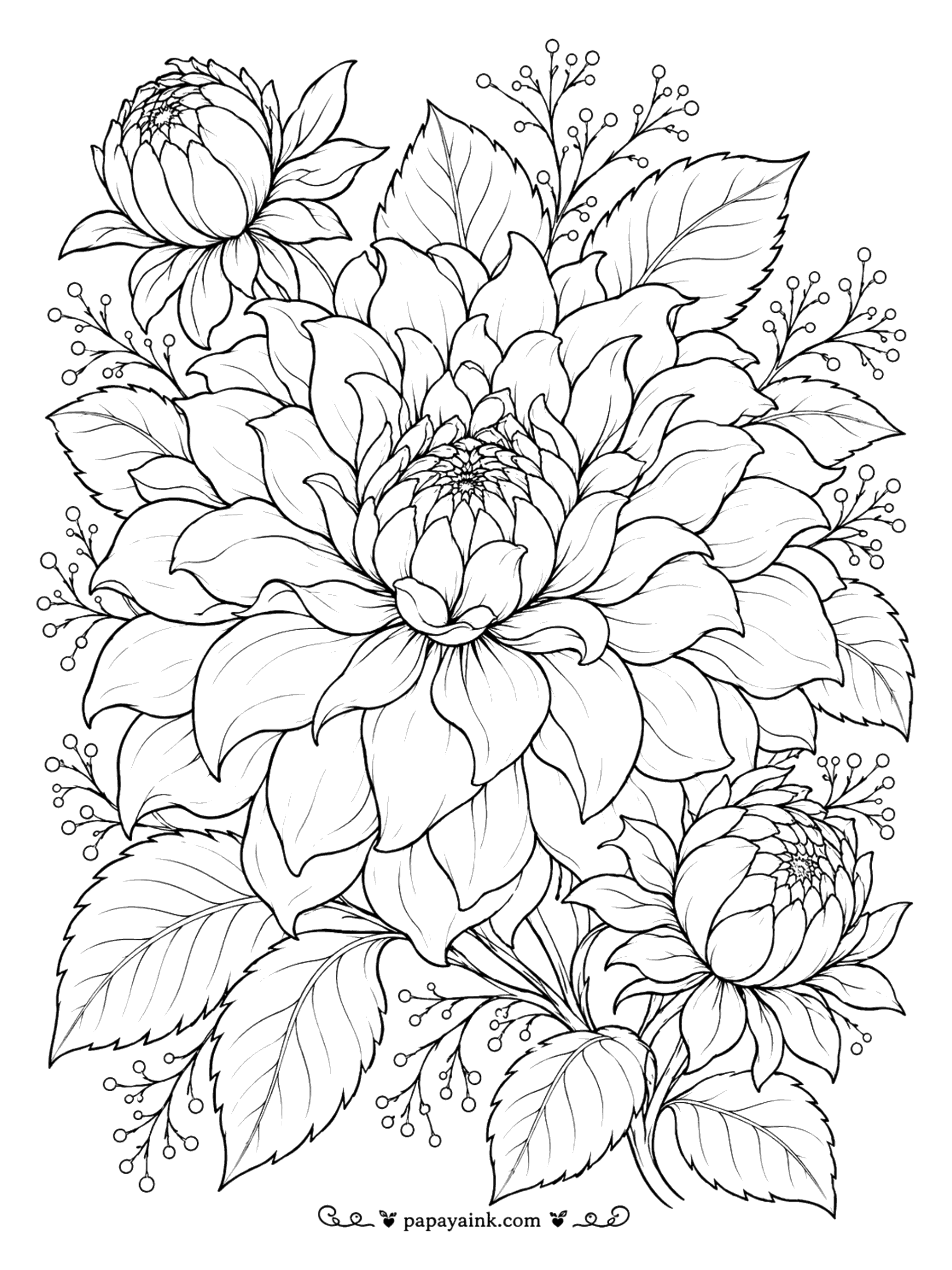 Flower Coloring Pages - Dahlia Coloring Page: Blooms with Berry Sprigs (Detailed)
