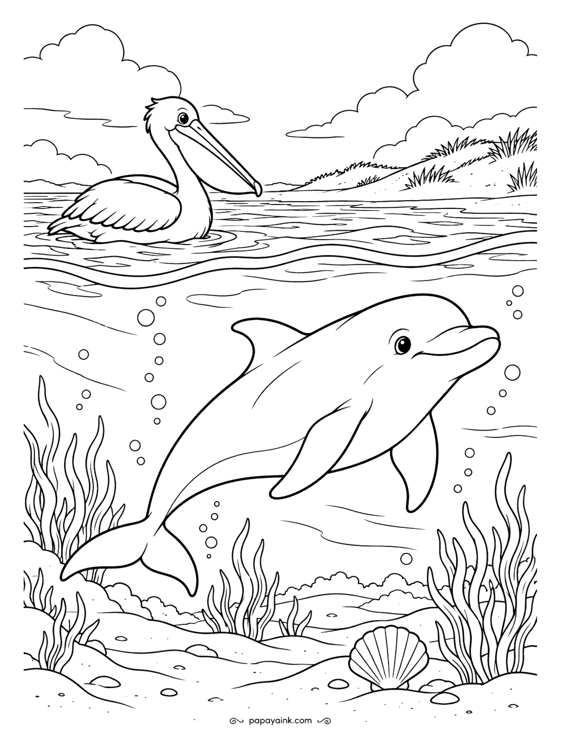 Dolphin Coloring Pages - Floating on top, the pelican is hoping for fish; the dolphin underneath is the reason there are none. Shore grass and clouds above, sea grass and a scallop below. Medium detail, with two clear zones to work through.