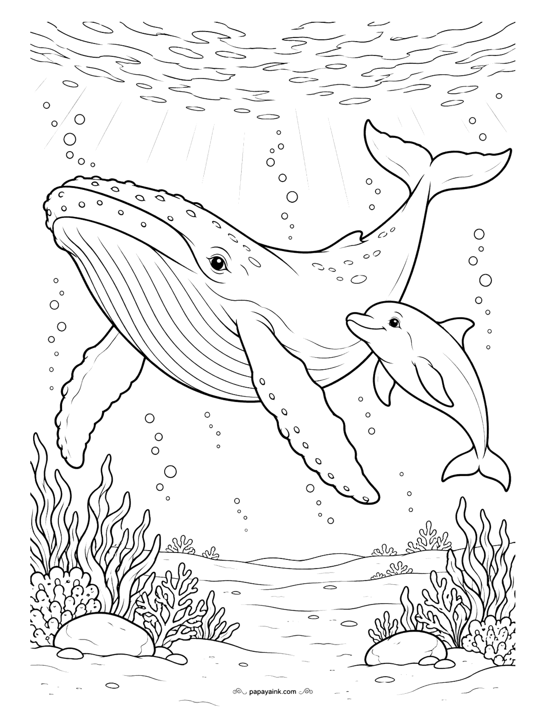 Dolphin Coloring Pages - Humpbacks can be longer than a school bus, and the young dolphin swimming alongside does not seem worried in the least. Bumps on the whale's head, grooves along its throat, one enormous flipper. Detailed - give the whale a dark top and a pale throat.