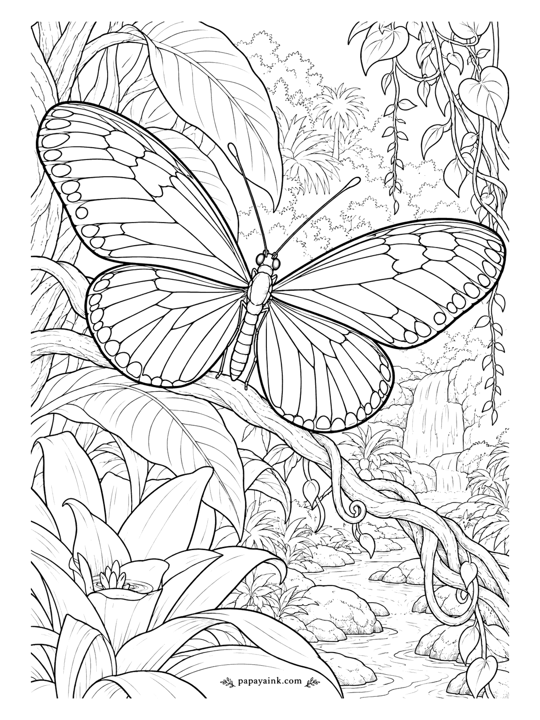 Butterfly Coloring Pages - Long, narrow wings built for slow, floating flight. The Doris longwing comes in several color forms; a red forewing patch with blue or green rays on the hindwing is a good start. A twisting vine leads down to a jungle pool.