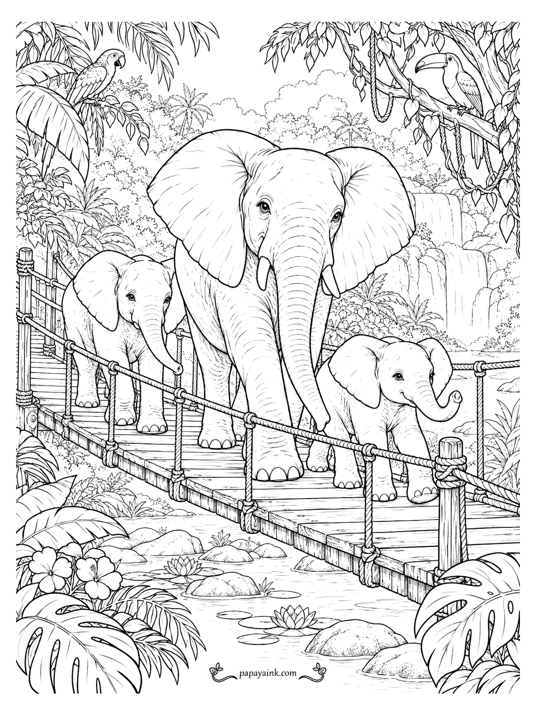 Elephant Coloring Pages - An elephant family crosses a wooden rope bridge over a jungle river with a parrot and a toucan overhead. Detailed.