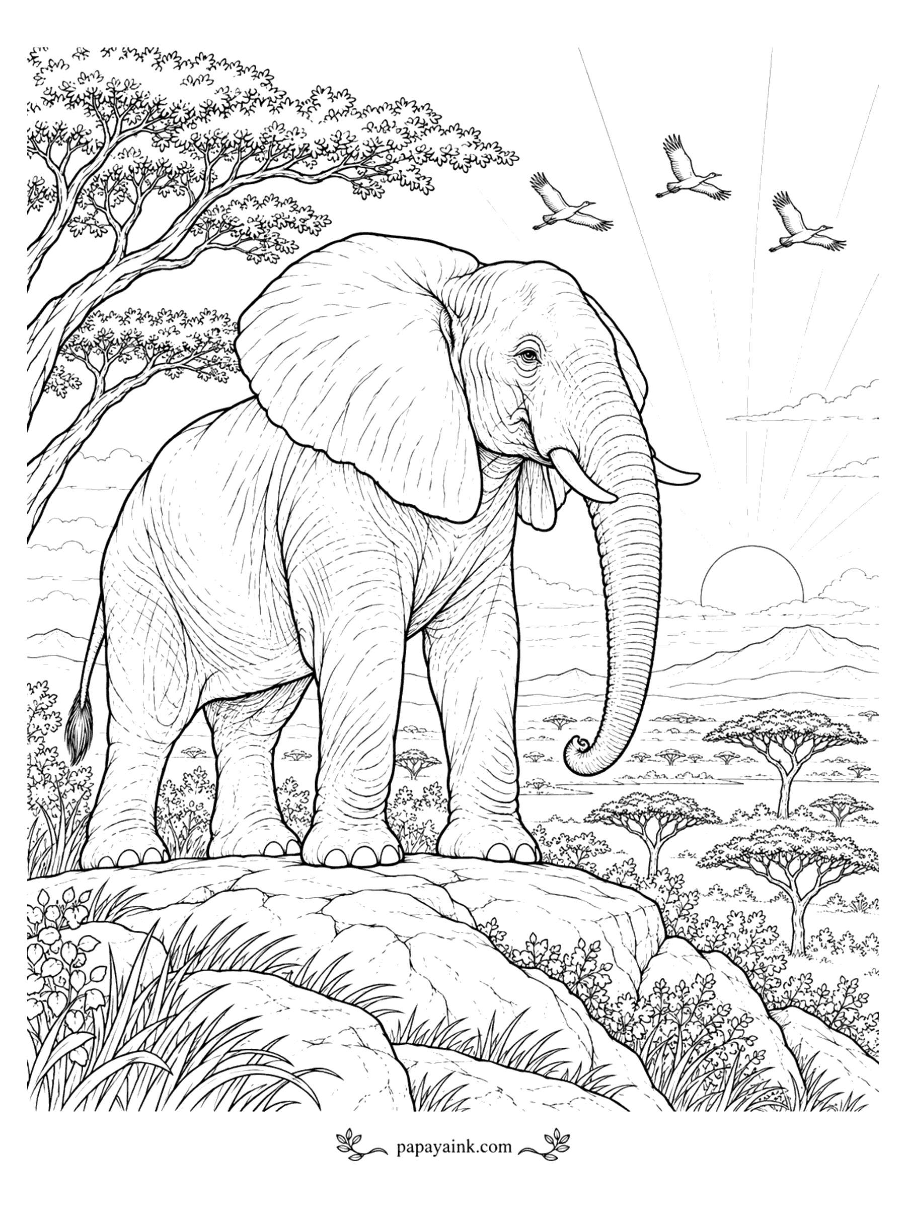 Elephant Coloring Pages - A realistic elephant stands on a rocky outcrop above the savanna as the sun rises and cranes fly past. Detailed.