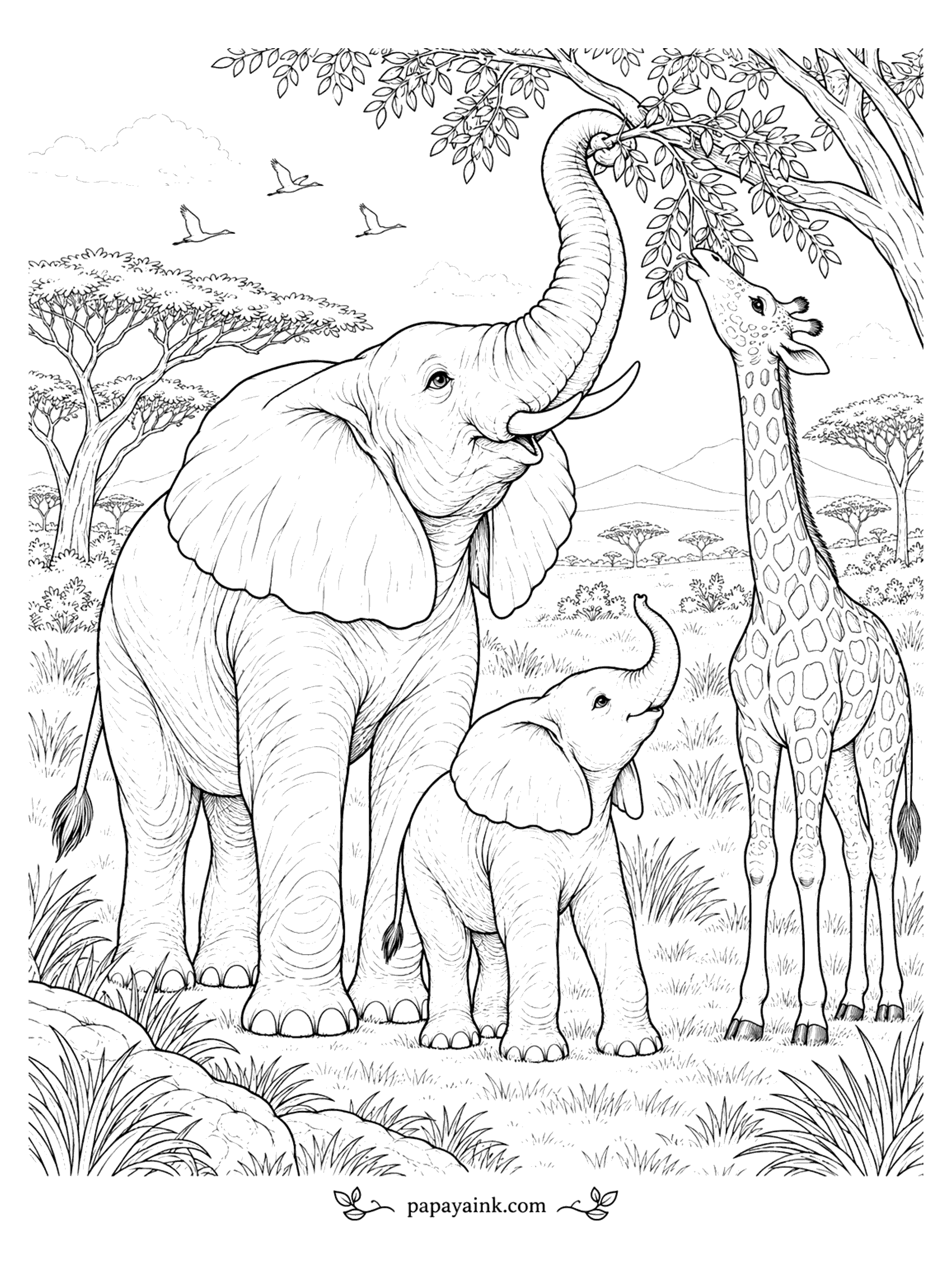 Elephant Coloring Pages - An elephant stretches its trunk into an acacia tree beside a giraffe while a calf watches from below.