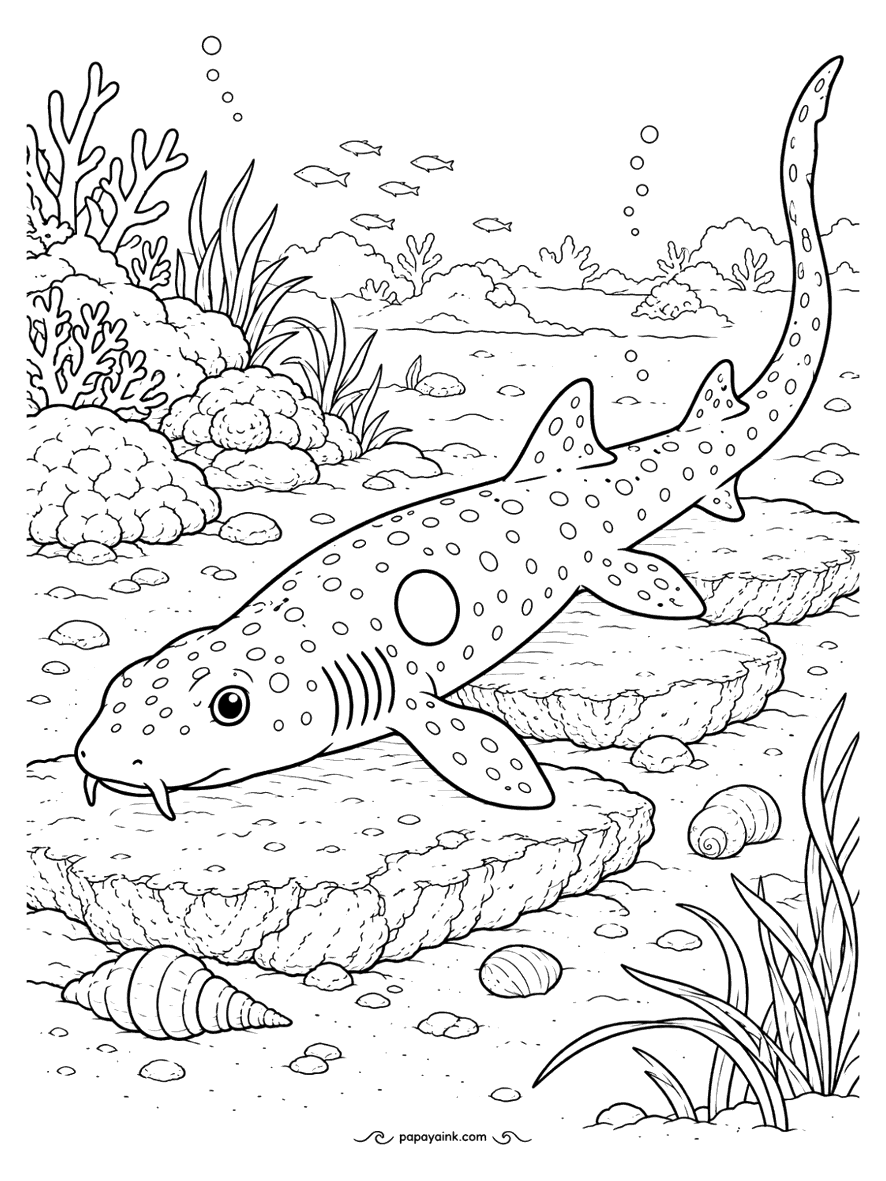 Shark Coloring Pages - Behind the head sits a big ringed spot that is thought to work as a false eye, making a small shark look like the front end of something much larger. Epaulettes are barely longer than an arm. Flat rocks and shells - a calm, uncluttered page.