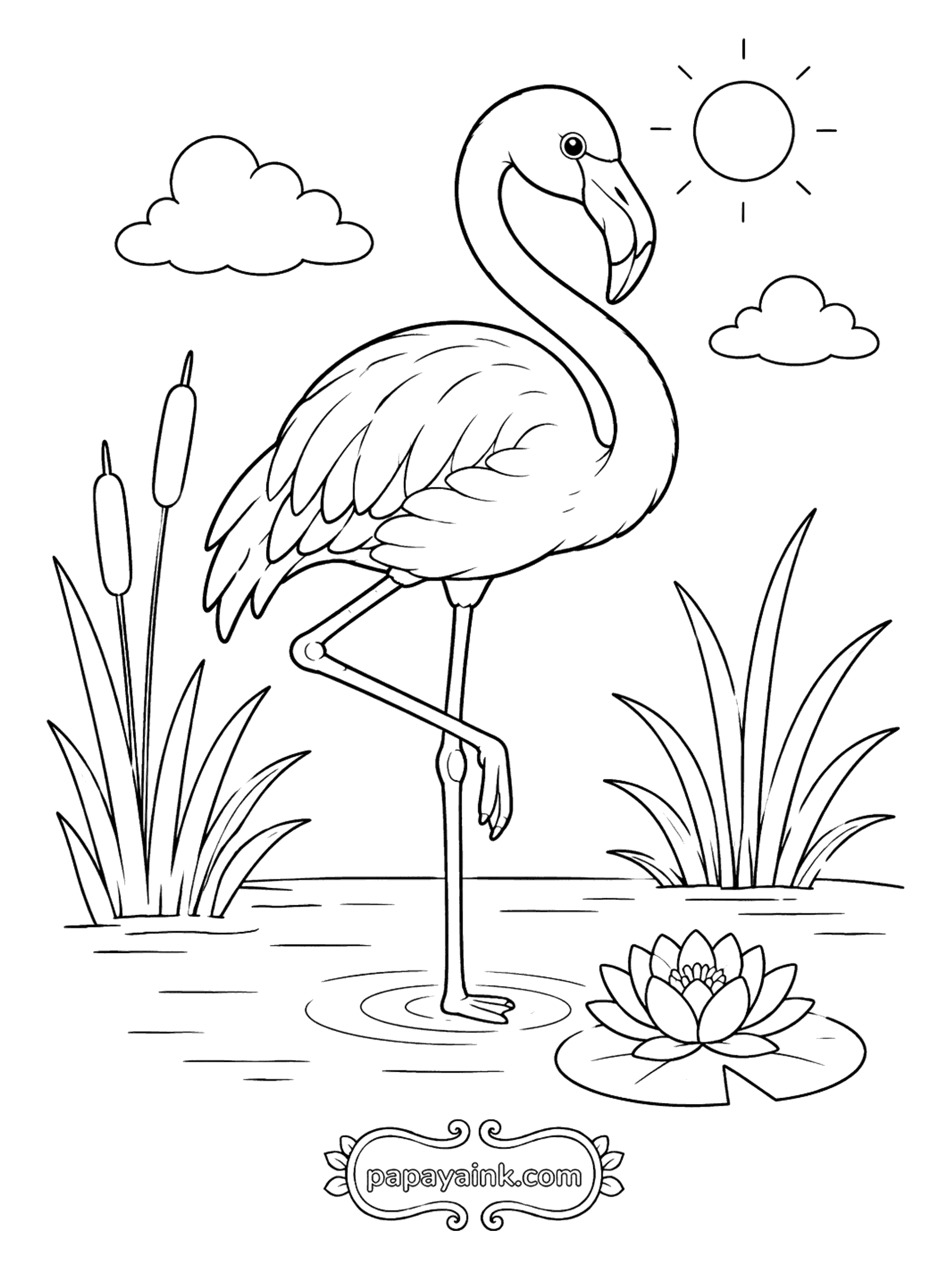 Bird Coloring Pages - Flamingo Standing in a Sunny Pond