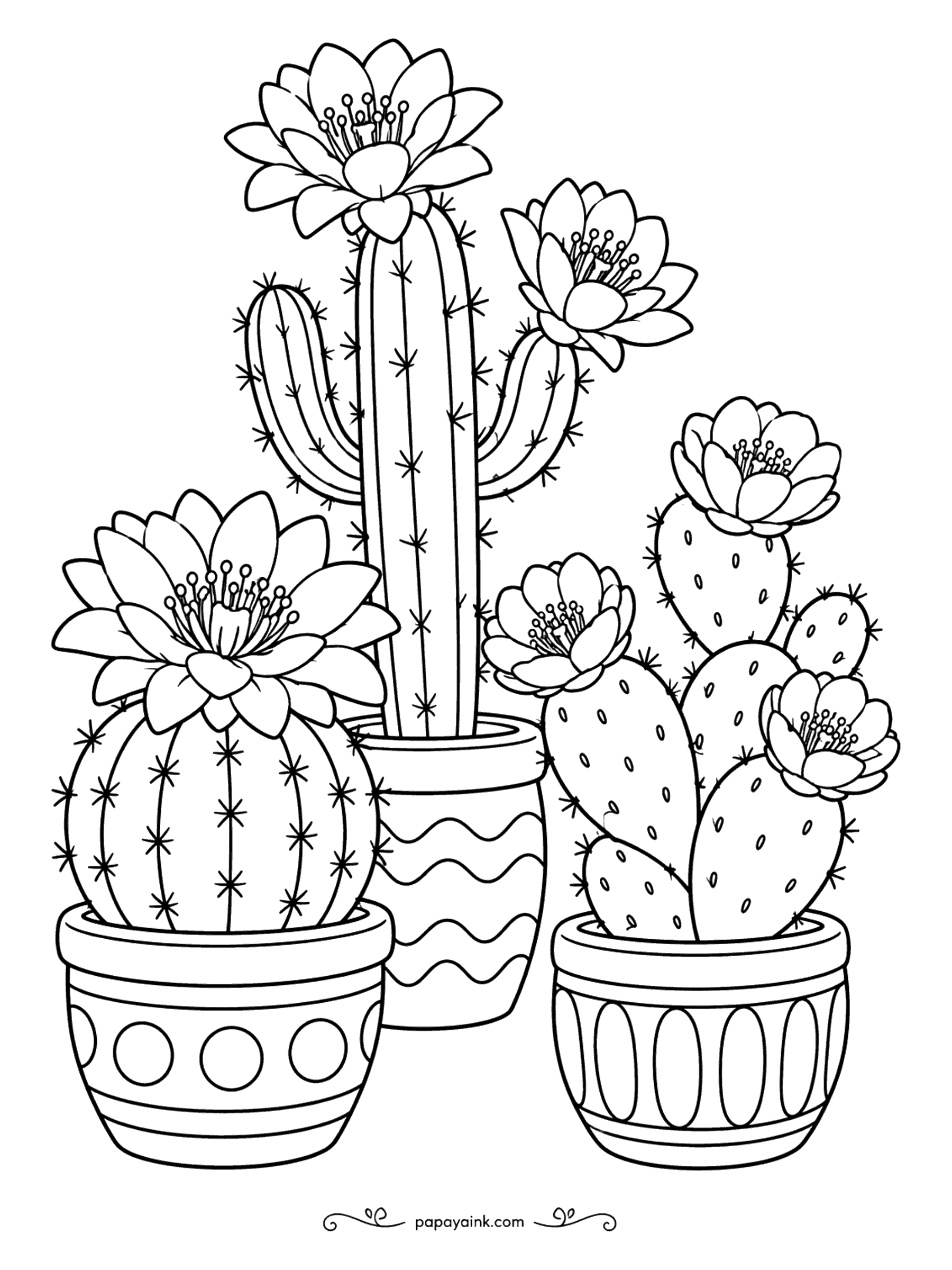 Flower Coloring Pages - Even a cactus blooms when it is happy. Three potted ones here - a round barrel, a tall column and a paddle-shaped prickly pear - all flower at once. Patterned pots invite bright colors.