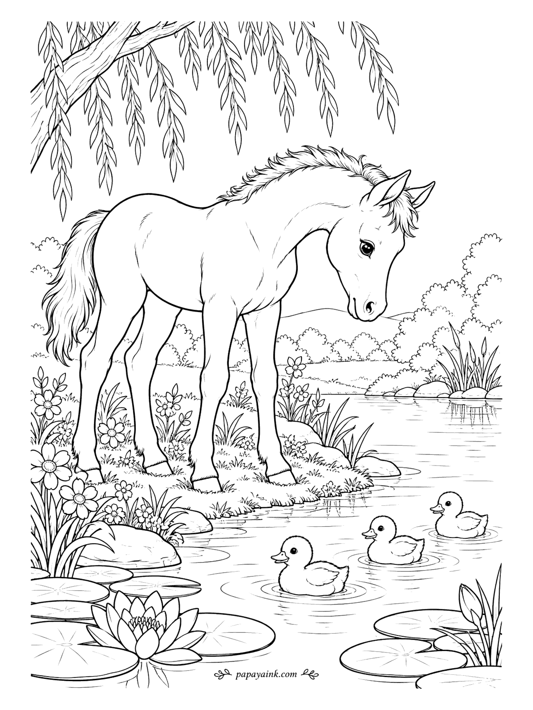 Horse Coloring Pages - A foal has found three ducklings and is not sure what to make of them. It leans over the bank under a willow while they paddle in circles among the lily pads. Spring flowers, cattails, a lotus. Easy to medium - the foal is the only big shape.