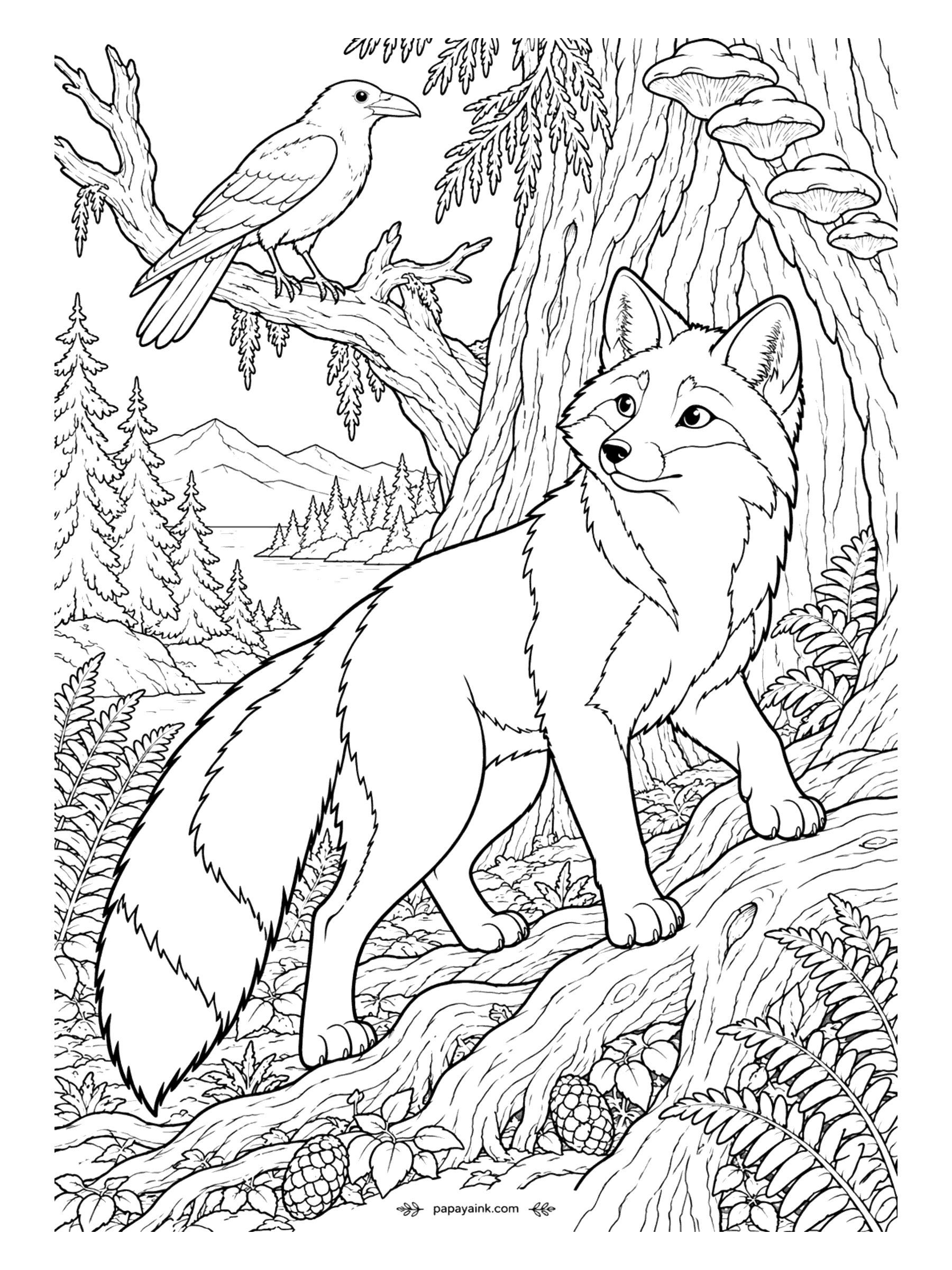 Fox Coloring Pages - Ravens are known to trail foxes and wolves, hoping for leftovers, and this one has taken a seat on the cedar just in case. Shelf mushrooms, ferns and a lake through the trees. Detailed - a page for a long evening.