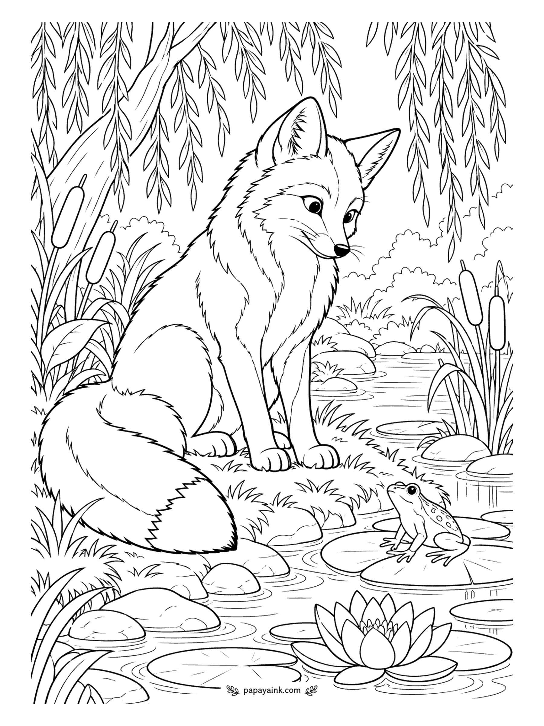 Fox Coloring Pages - Beneath a curtain of willow branches, a fox studies a tree frog on a lily pad, and the frog studies it right back. Cattails, water lilies and ripples to fill in. Fresh greens and a touch of pink for the lily work well here.