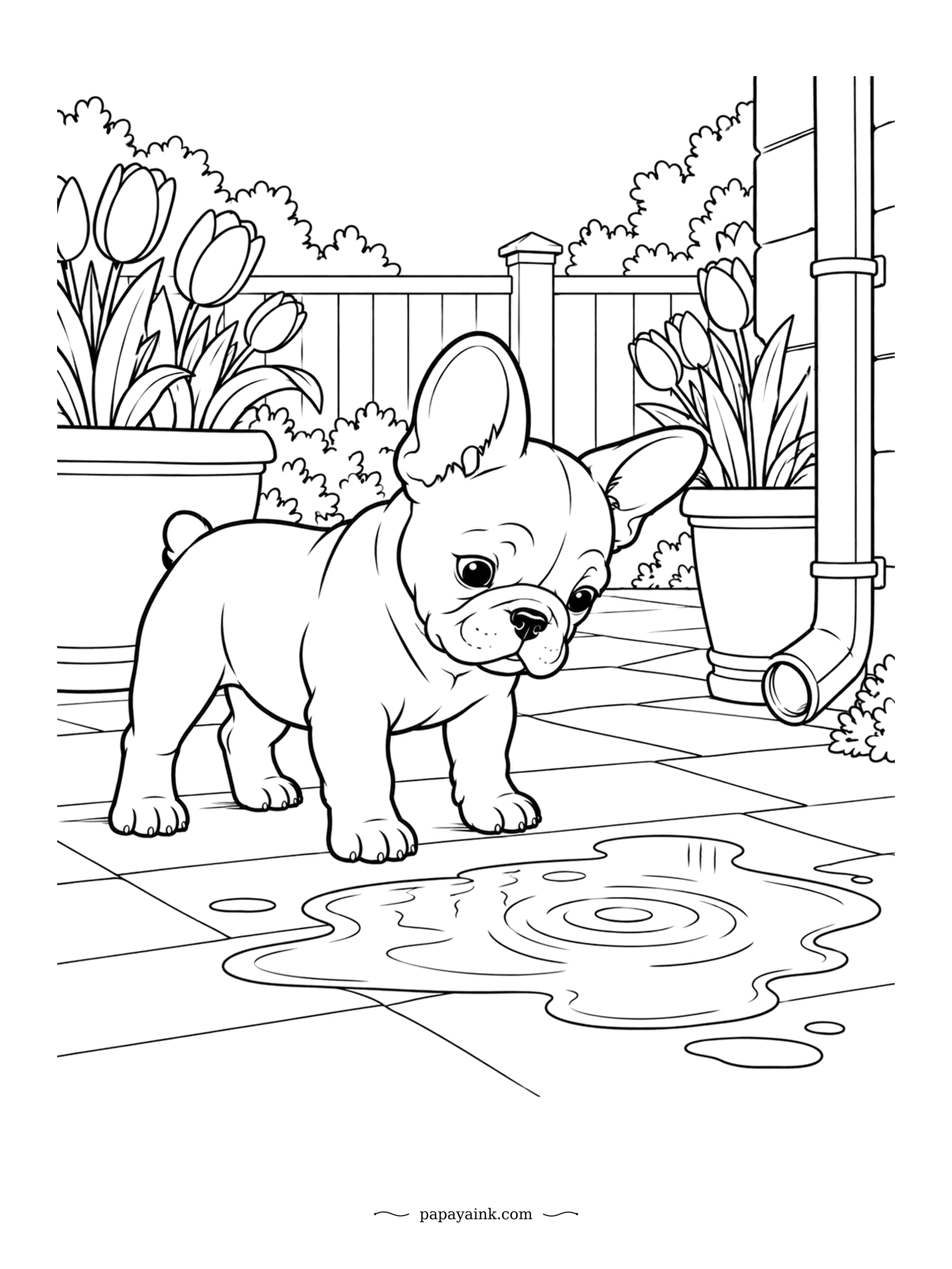 Puppy Coloring Pages - Rain has left a puddle on the patio, and the French bulldog is studying the ripples with deep suspicion. Bat ears up, paws dry for now. Tulips and a downspout complete the patio corner.