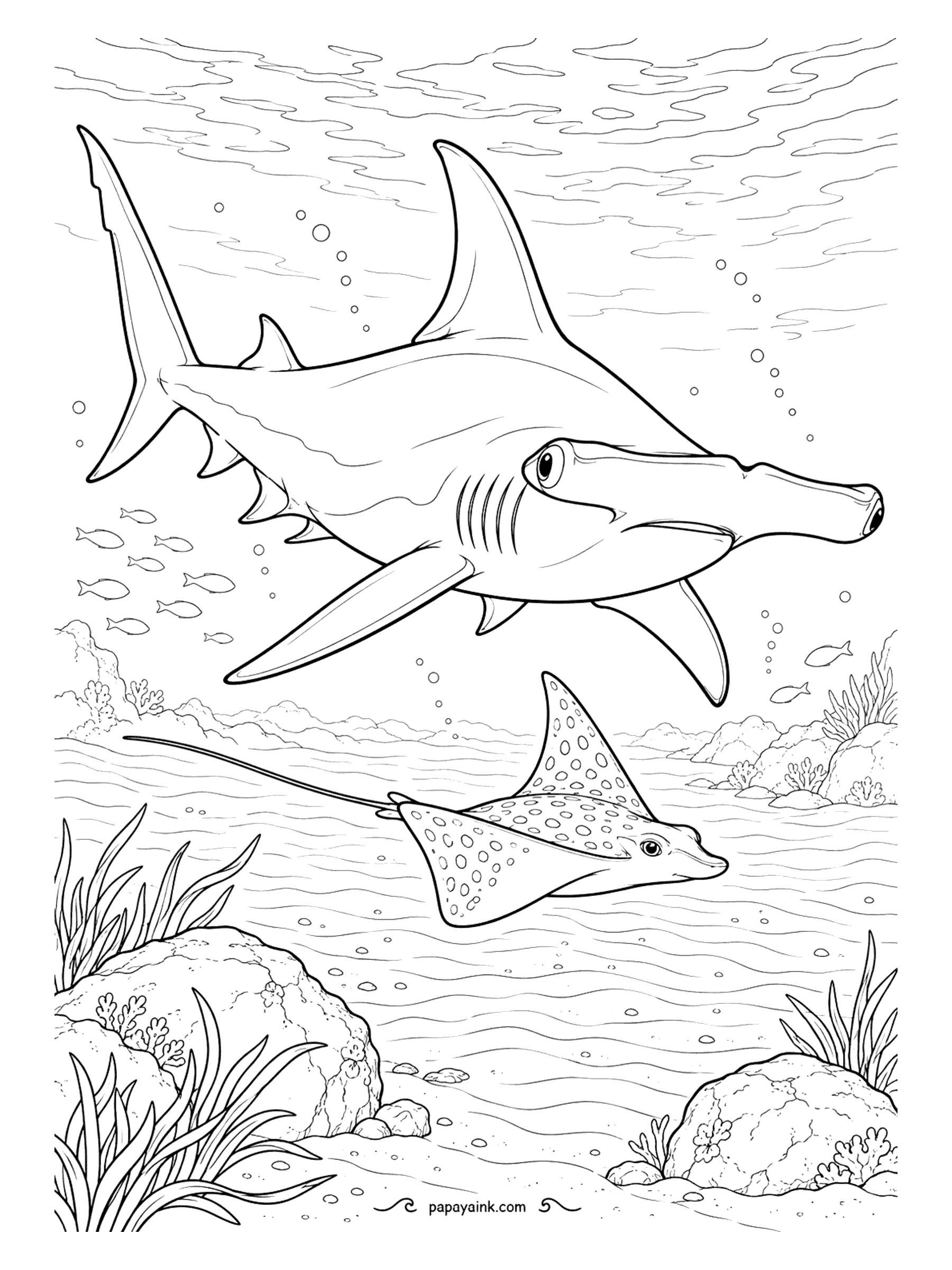 Shark Coloring Pages - Great hammerheads often swim tilted on their side, using that tall, sickle-shaped first fin almost like a wing to save energy. Below, a spotted eagle ray glides past. Plenty of open water around both - an easy page to start with.