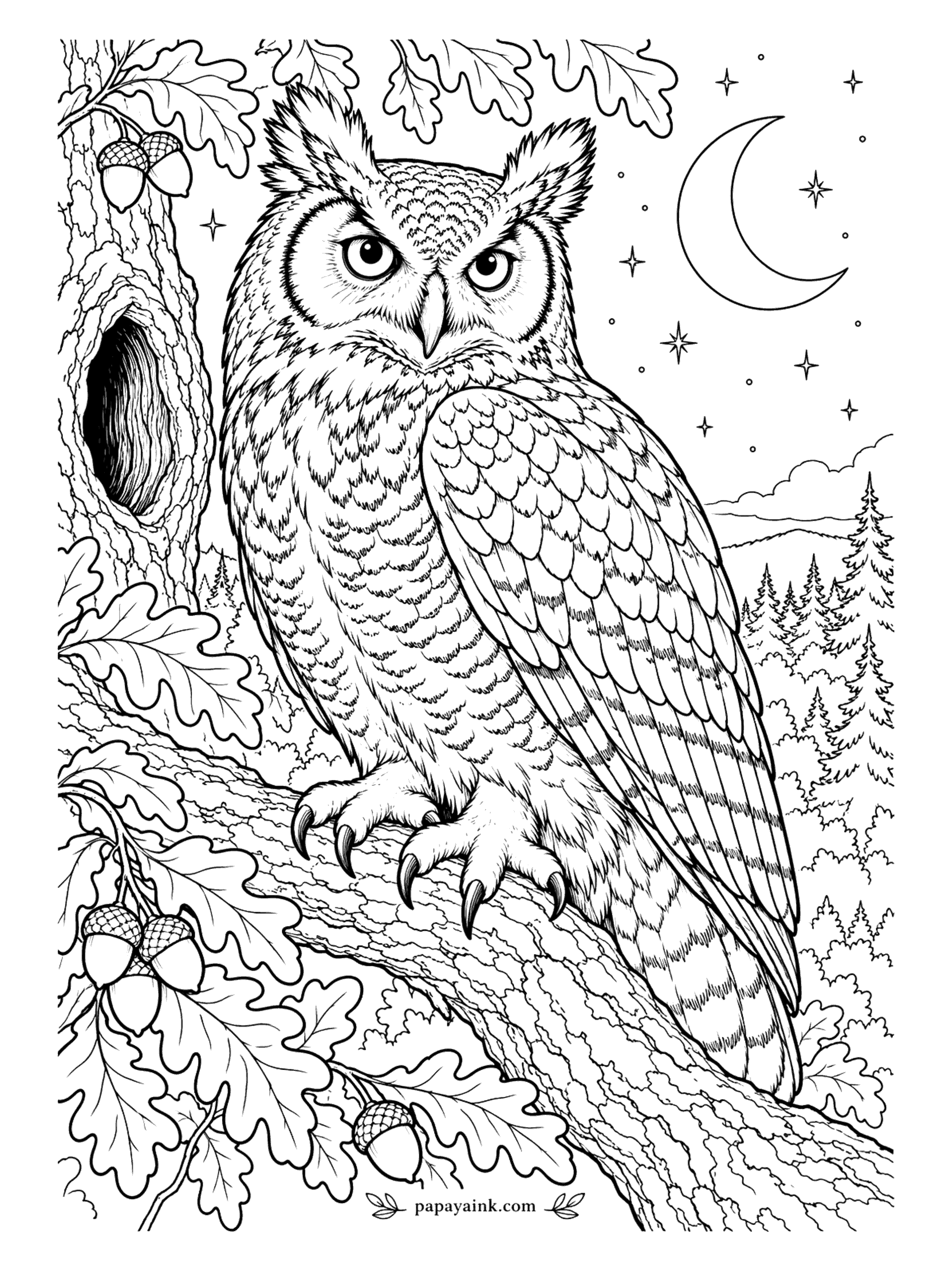 Bird Coloring Pages - Not ears, feather tufts, and the owl flattens them when it wants to vanish. A great horned owl sits in an oak at night, acorns close and a crescent moon behind. Brown bars over buff; the eyes get the only bright yellow here. Detailed.